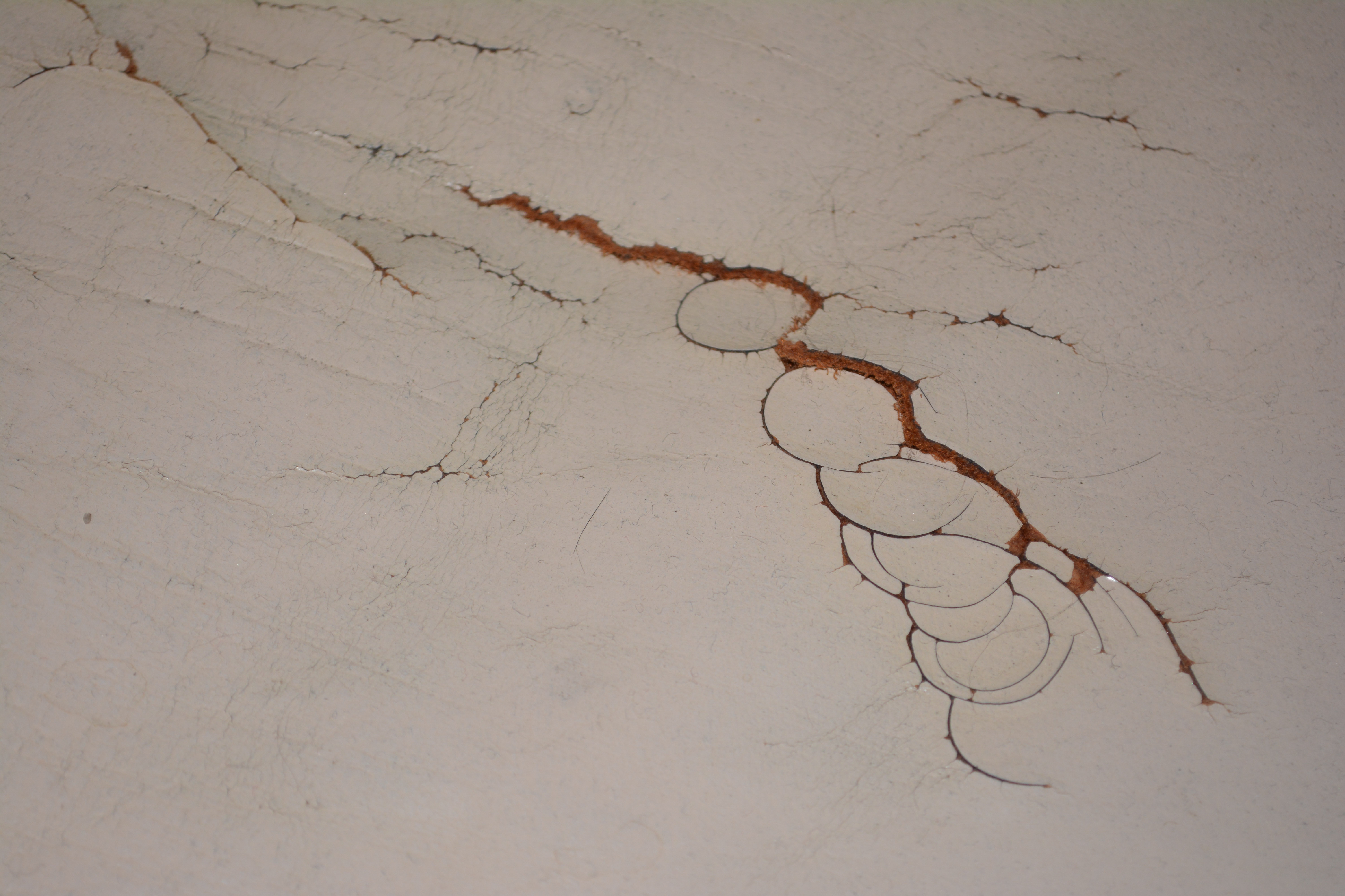 Vintage Hepplewhite Style Side Chairs With Leather Seats