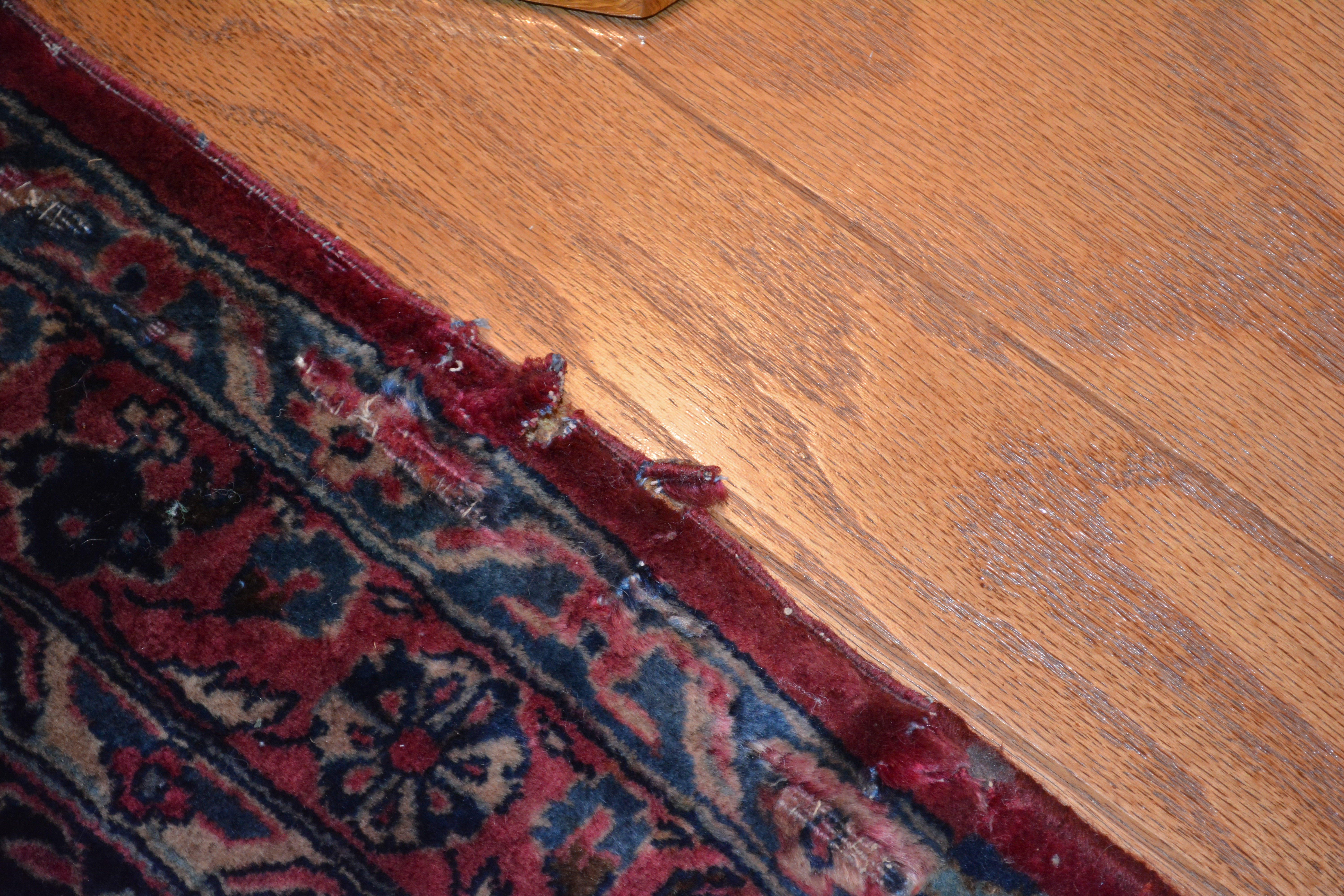 Semi-Antique Hand-Knotted Persian Area Rug