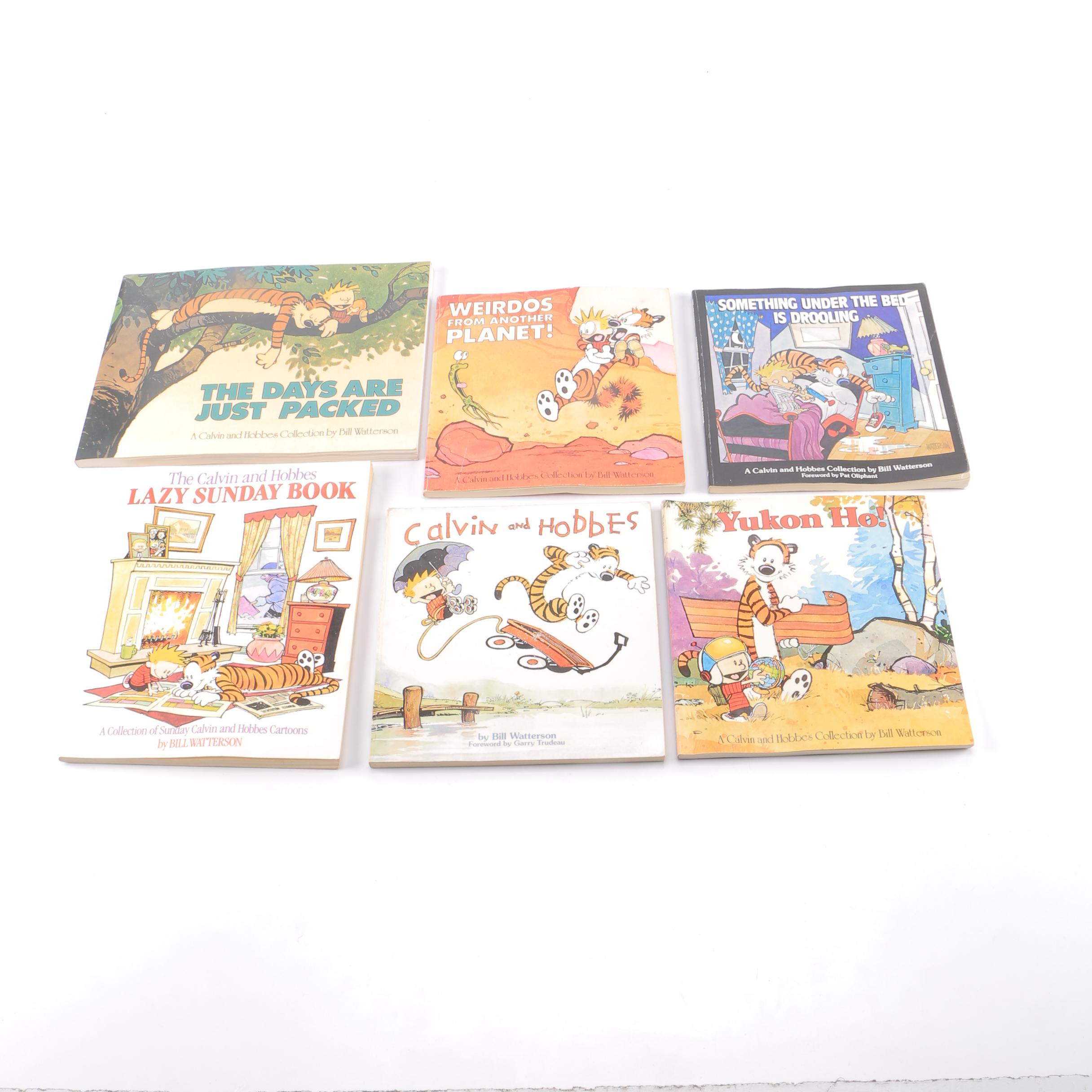 Calvin and Hobbes Books