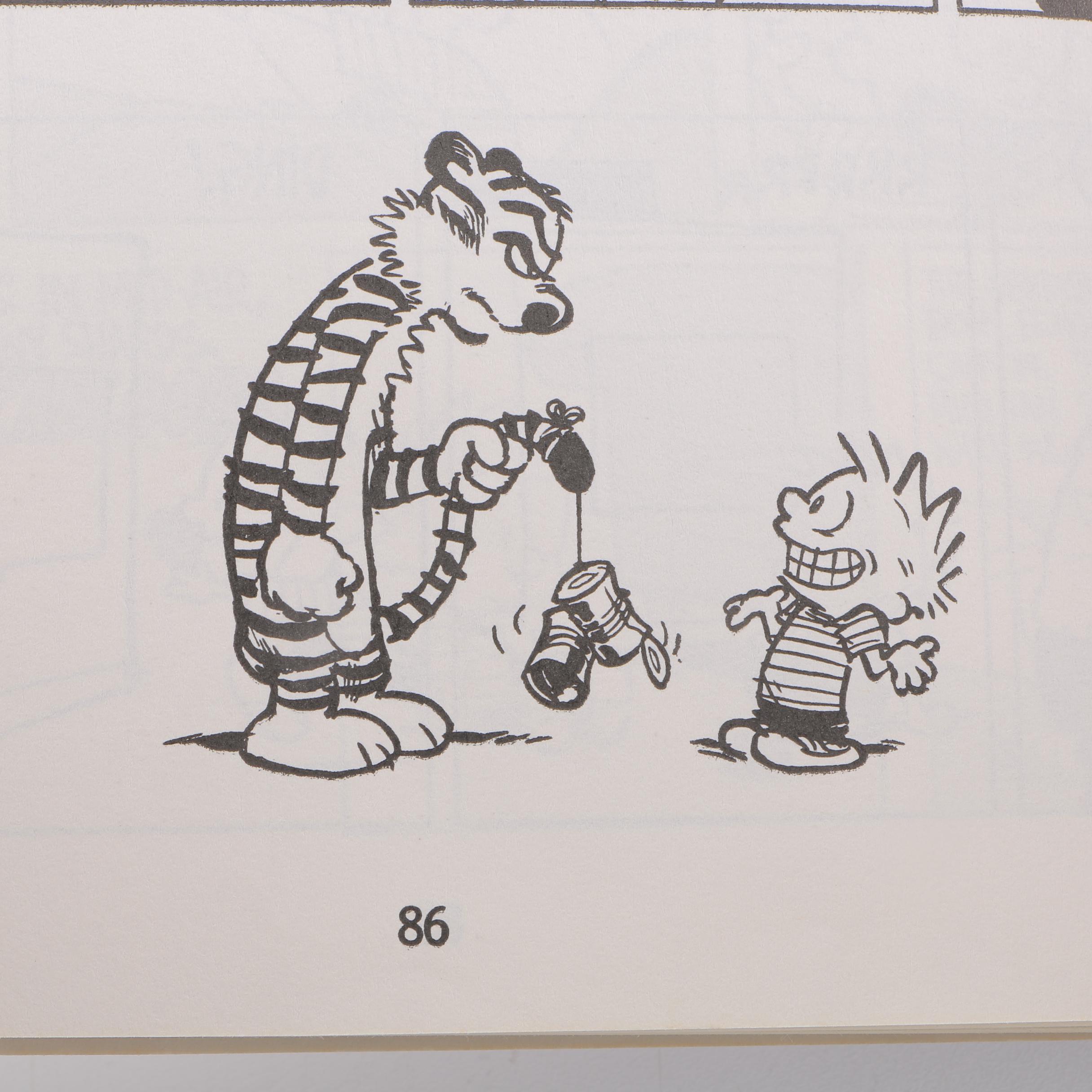 Calvin and Hobbes Books