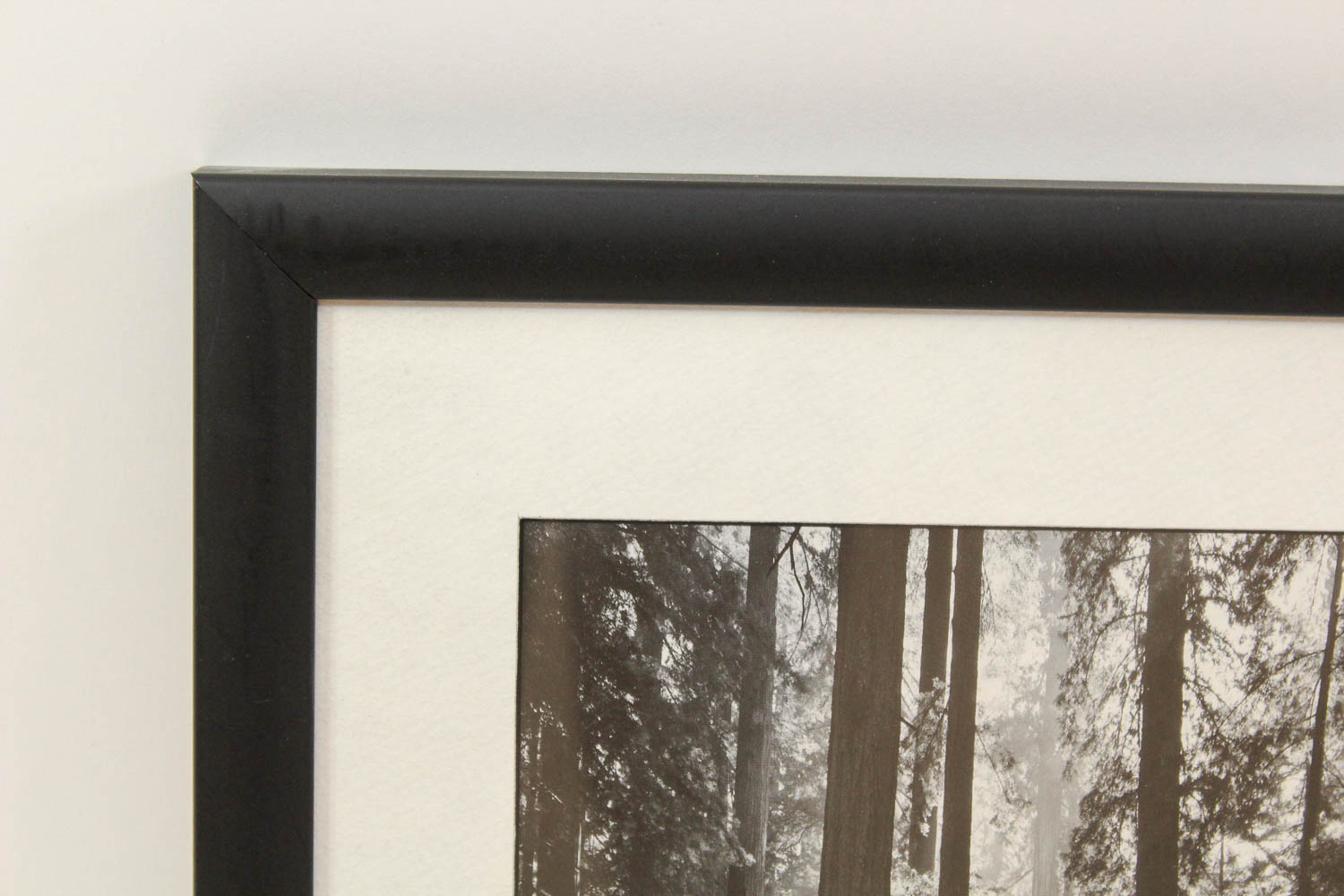 Ansel Adams Reproduction Photographic Print "Fiat Lux"