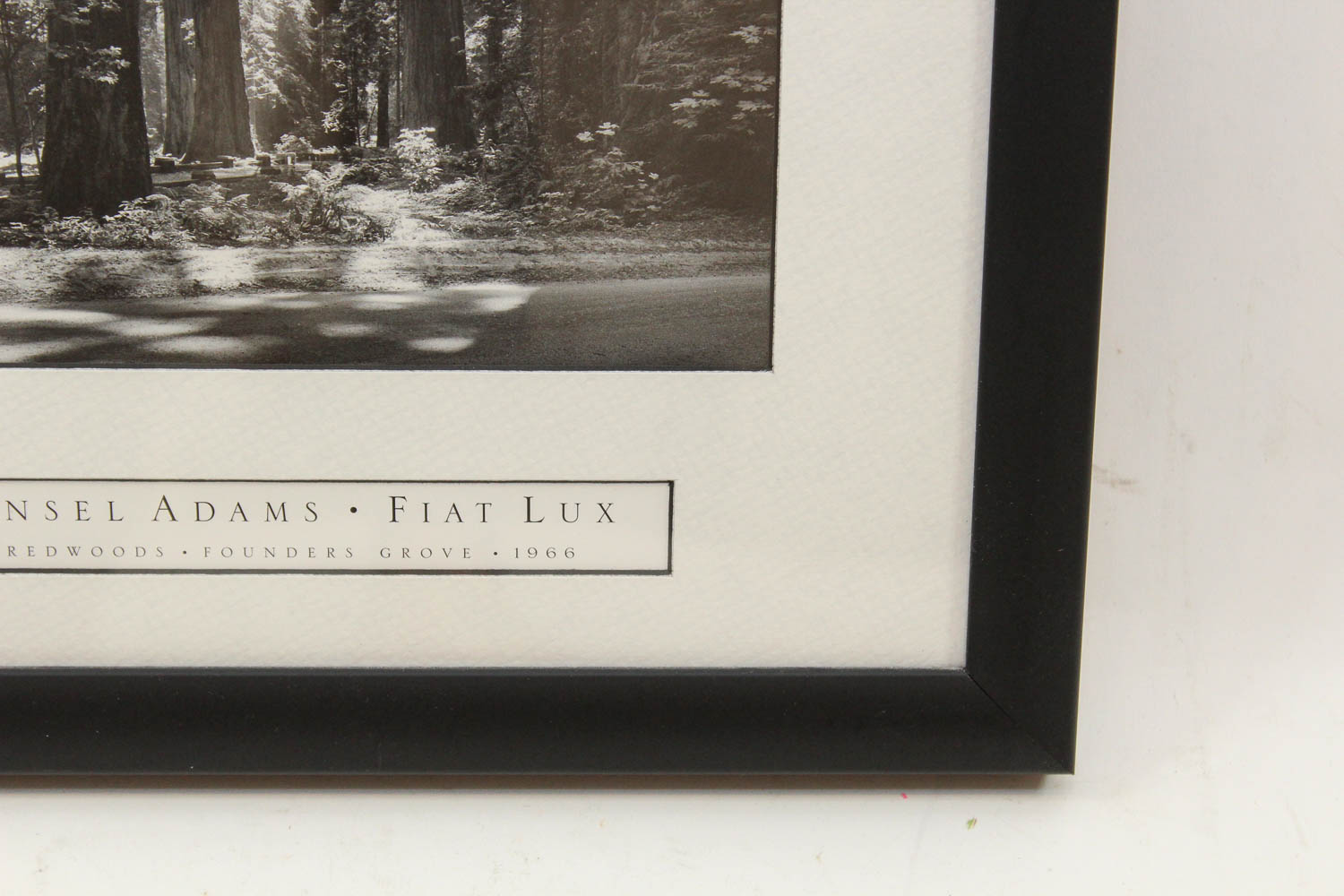 Ansel Adams Reproduction Photographic Print "Fiat Lux"