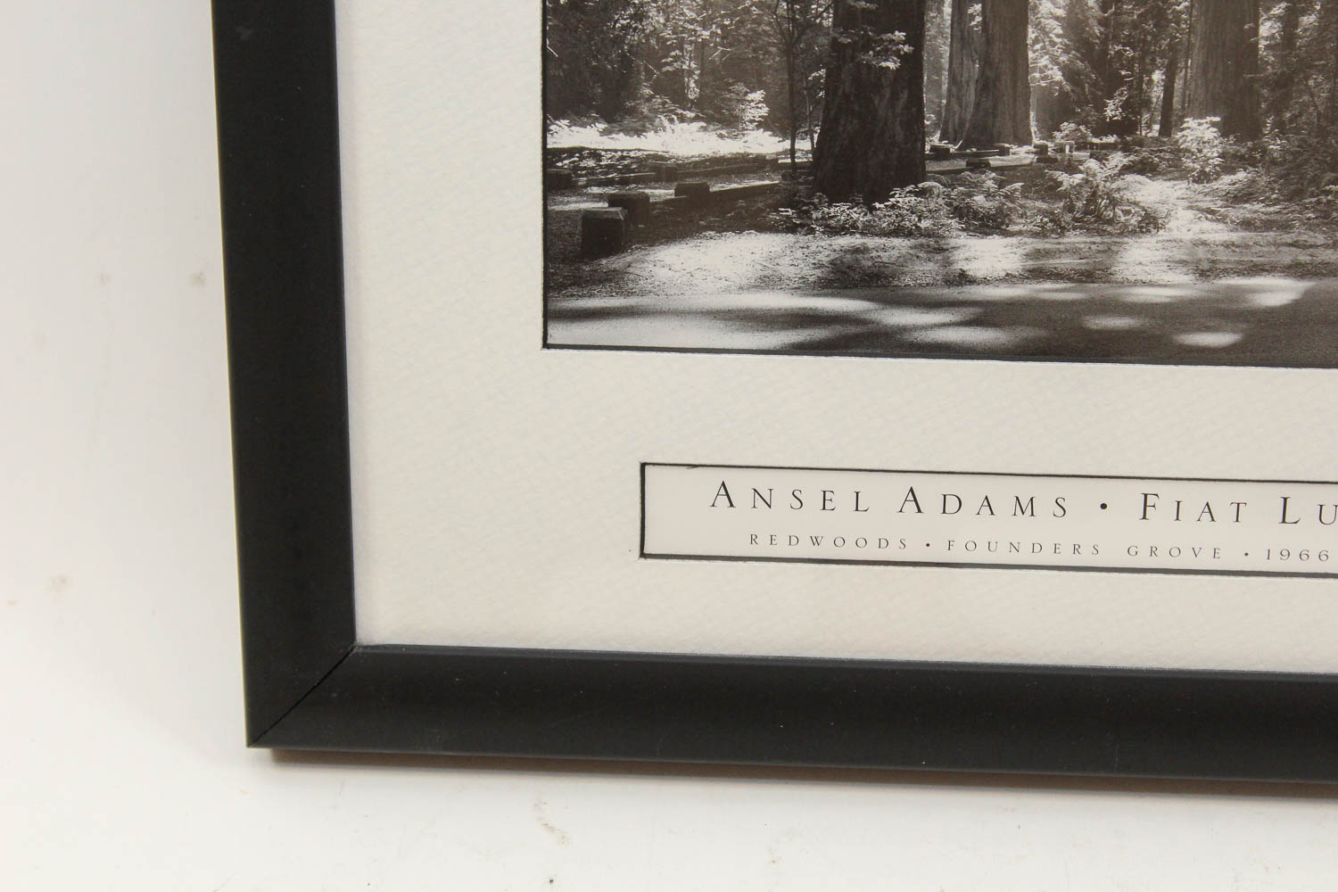 Ansel Adams Reproduction Photographic Print "Fiat Lux"