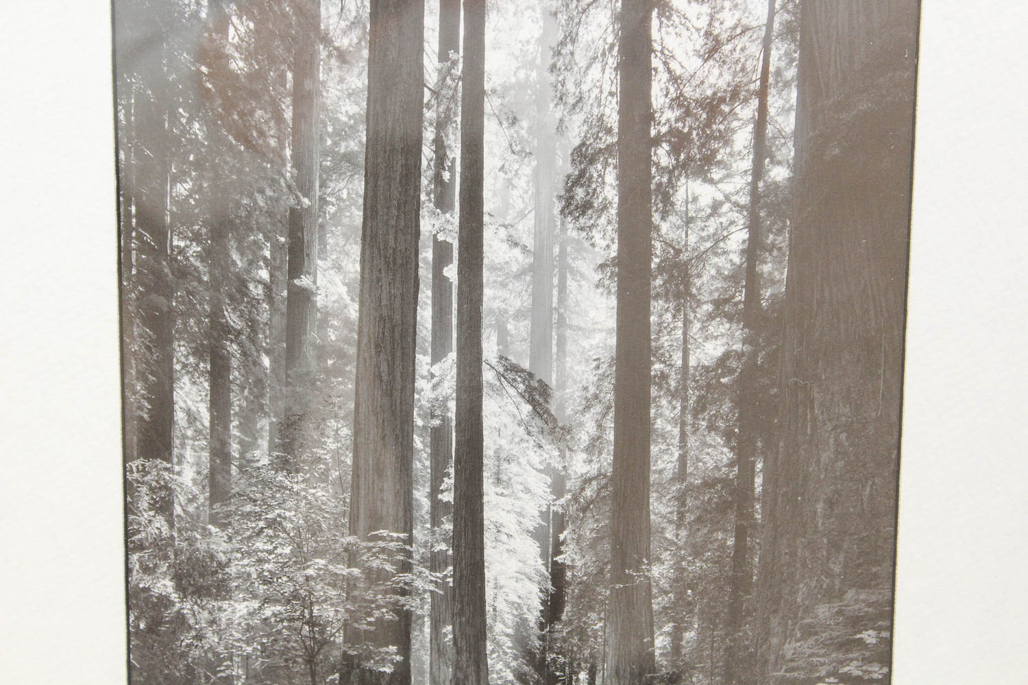 Ansel Adams Reproduction Photographic Print "Fiat Lux"