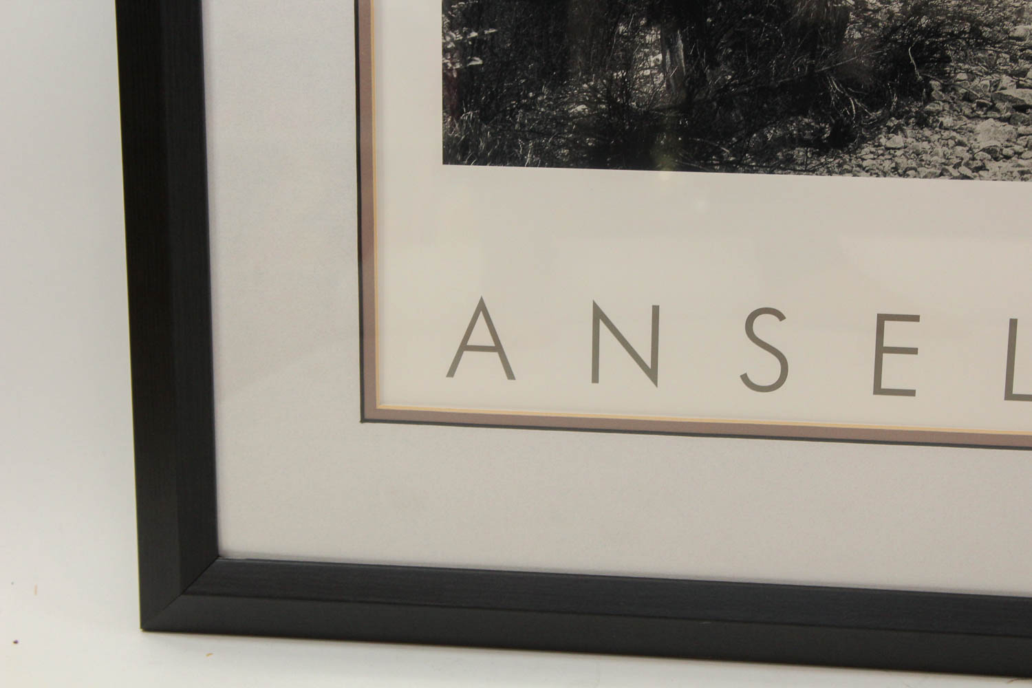 Ansel Adams Authorized Edition Photographic Print "Tenaya Creek, Dogwood"