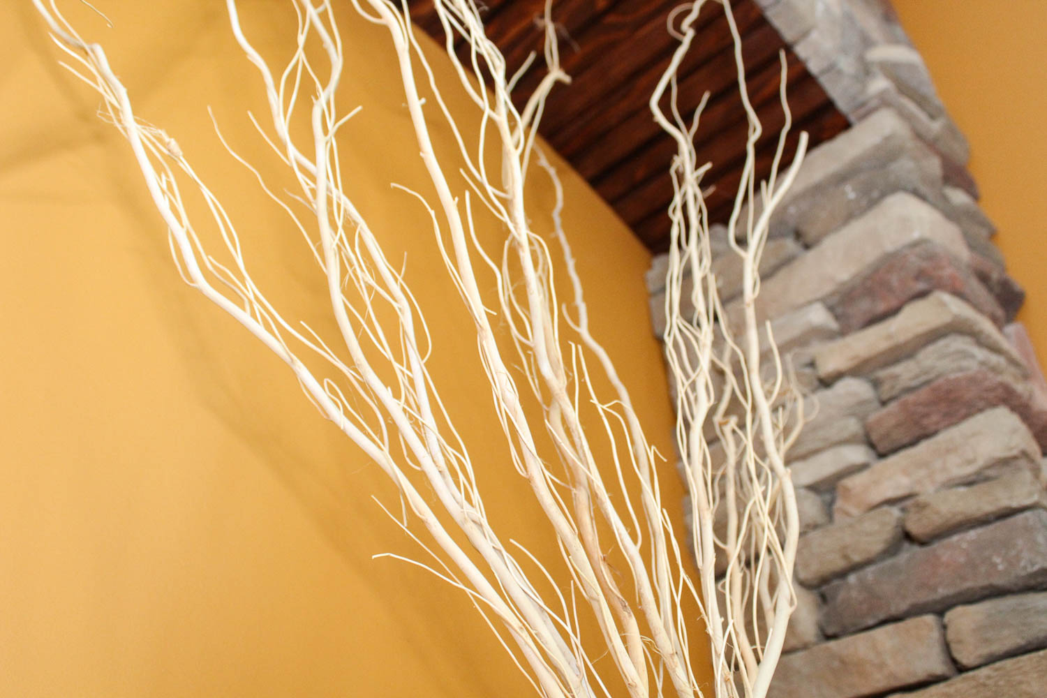 Pair of Stoneware Vases with Willow Branches