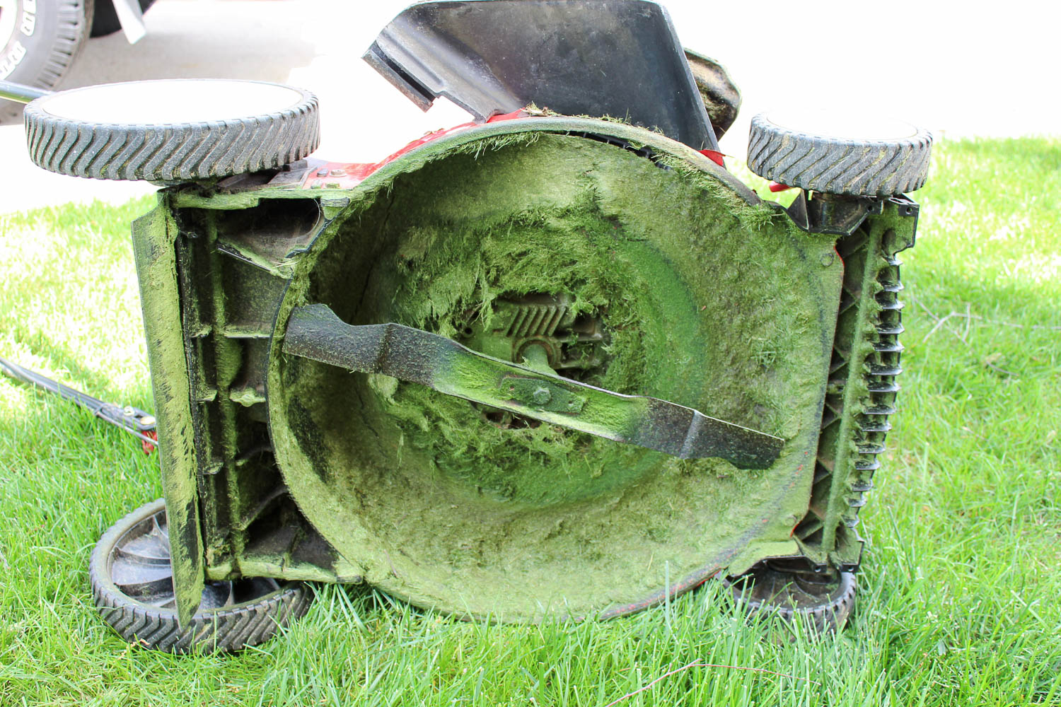 Troy-Bilt 21" Push Mower