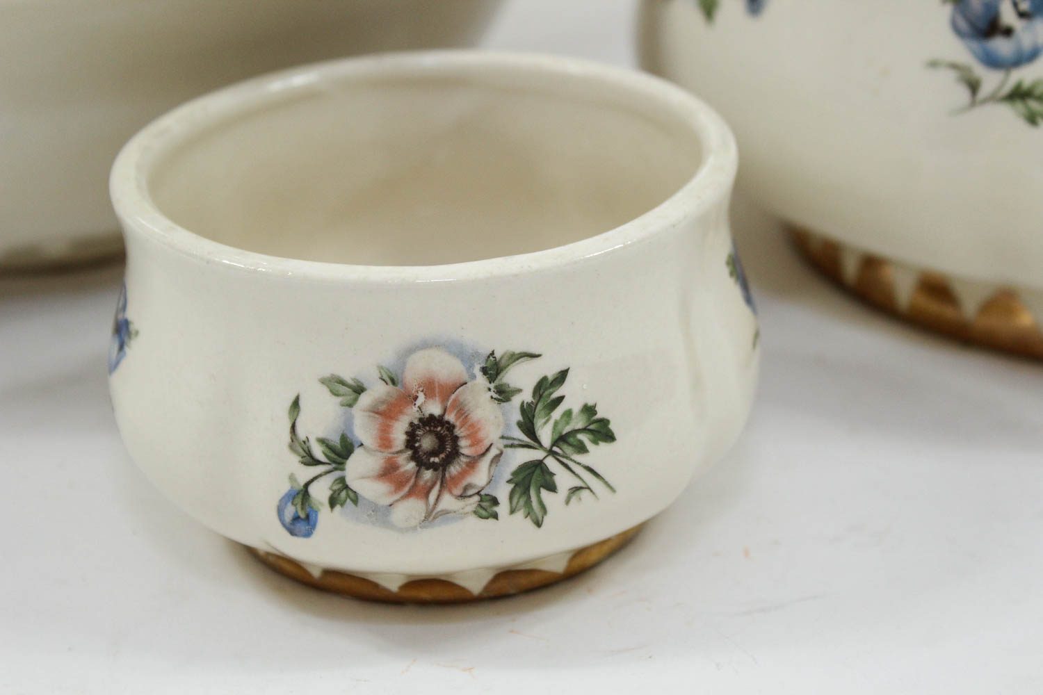 Antique Hand-Painted Floral China