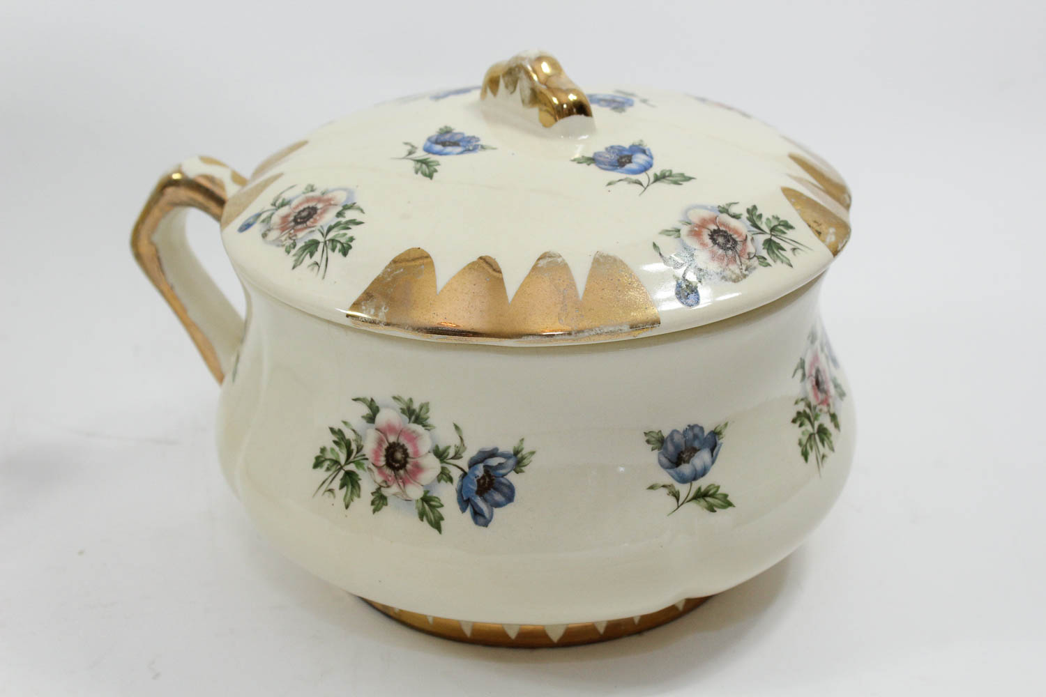 Antique Hand-Painted Floral China