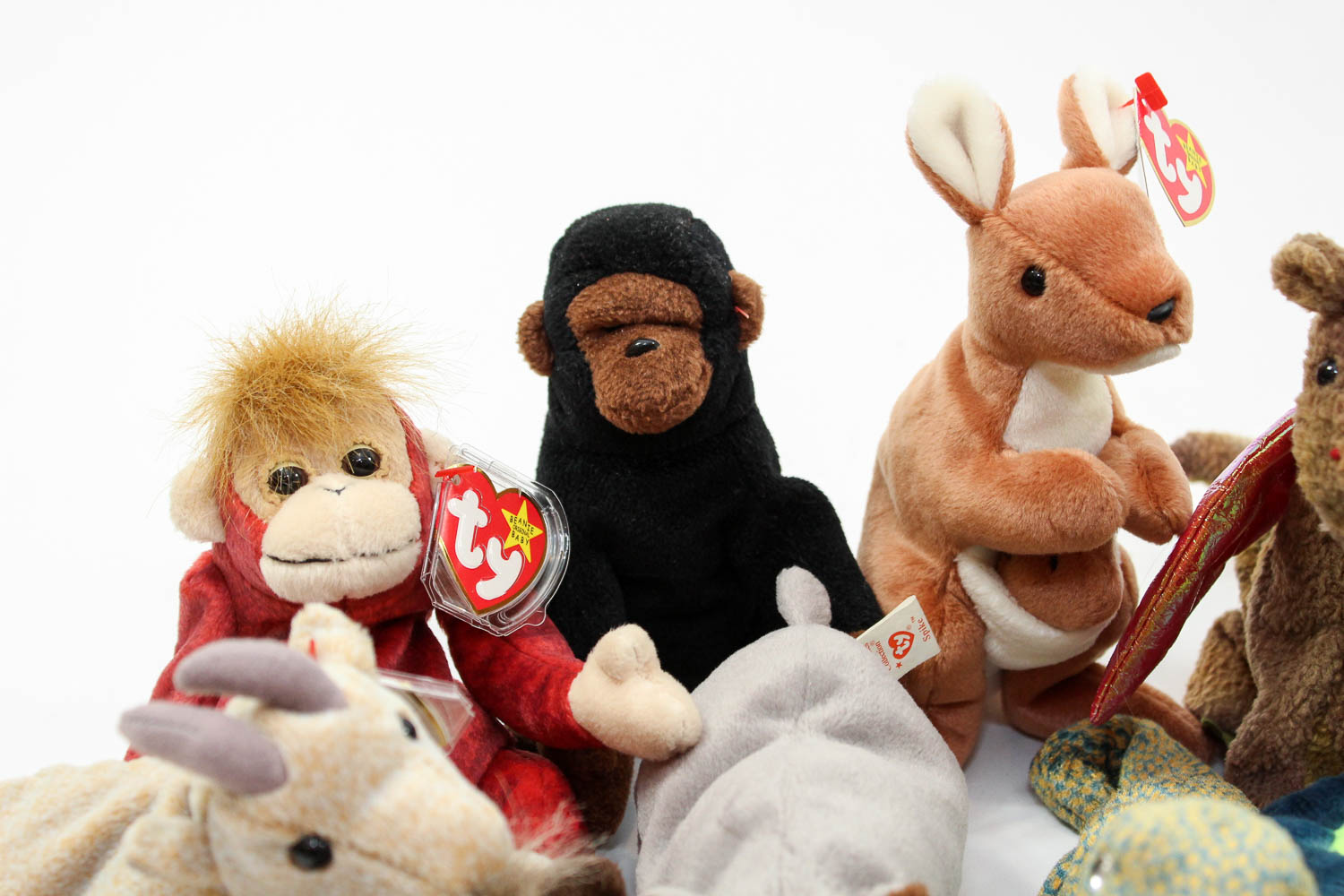 Beanie Baby Collection