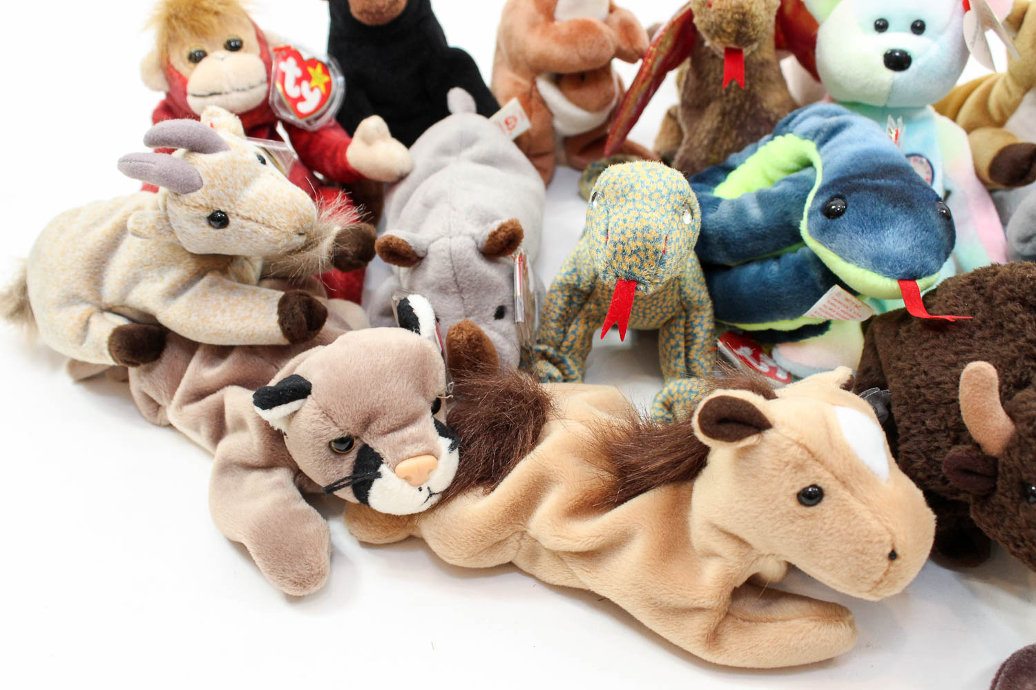 Beanie Baby Collection