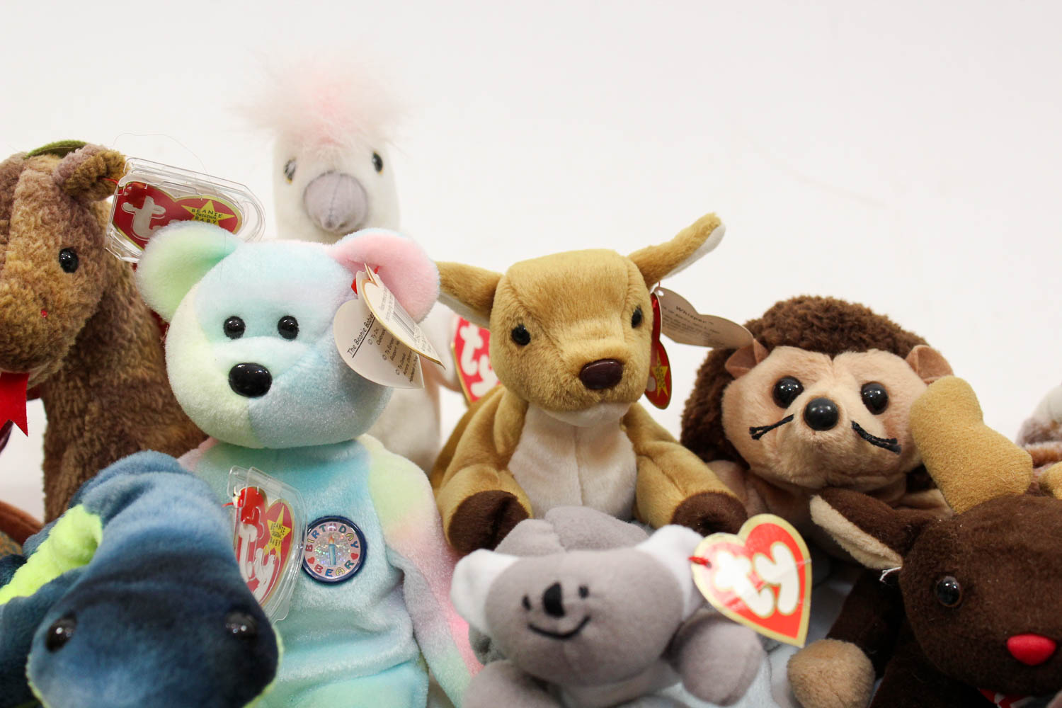 Beanie Baby Collection