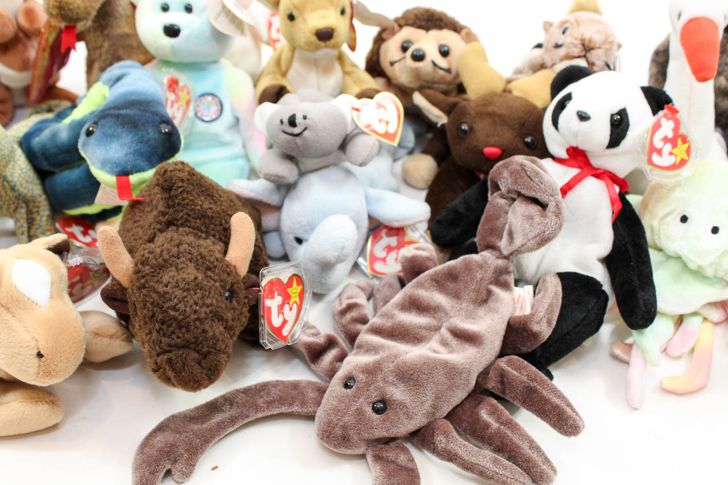 Beanie Baby Collection