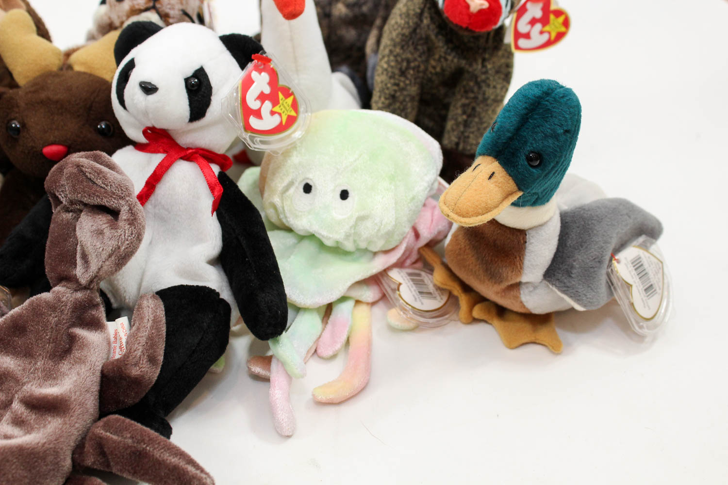 Beanie Baby Collection