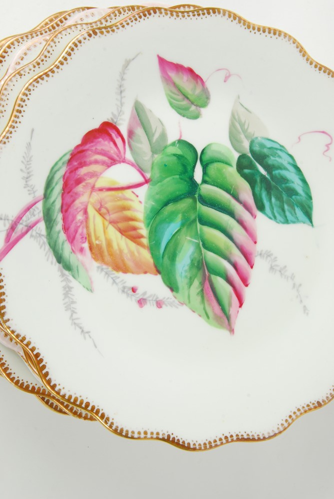 Vintage Handpainted Botanical Plates