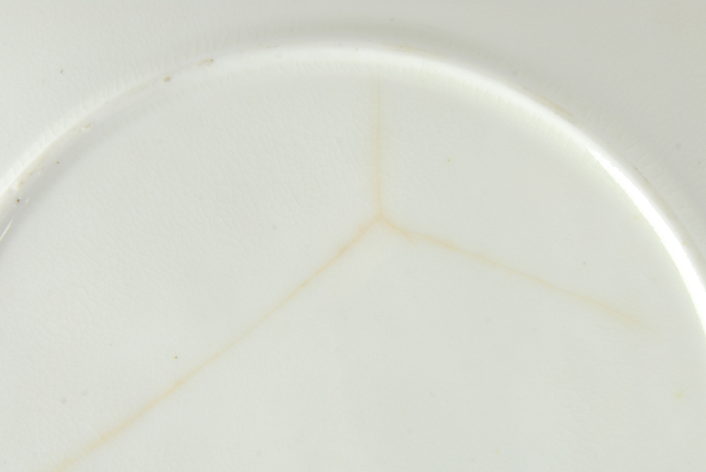 Vintage Handpainted Botanical Plates