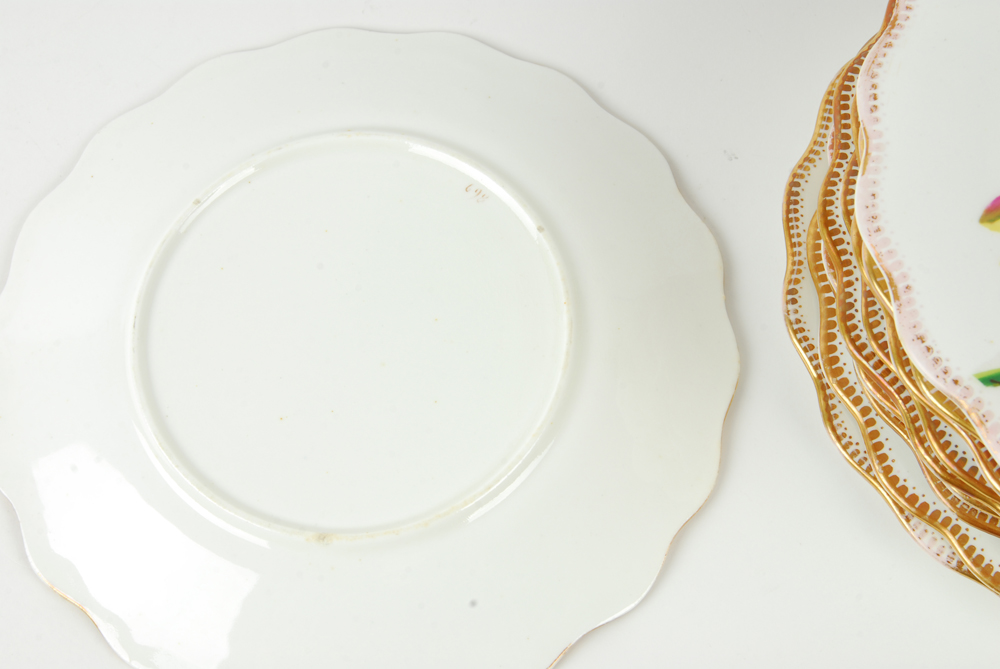 Vintage Handpainted Botanical Plates