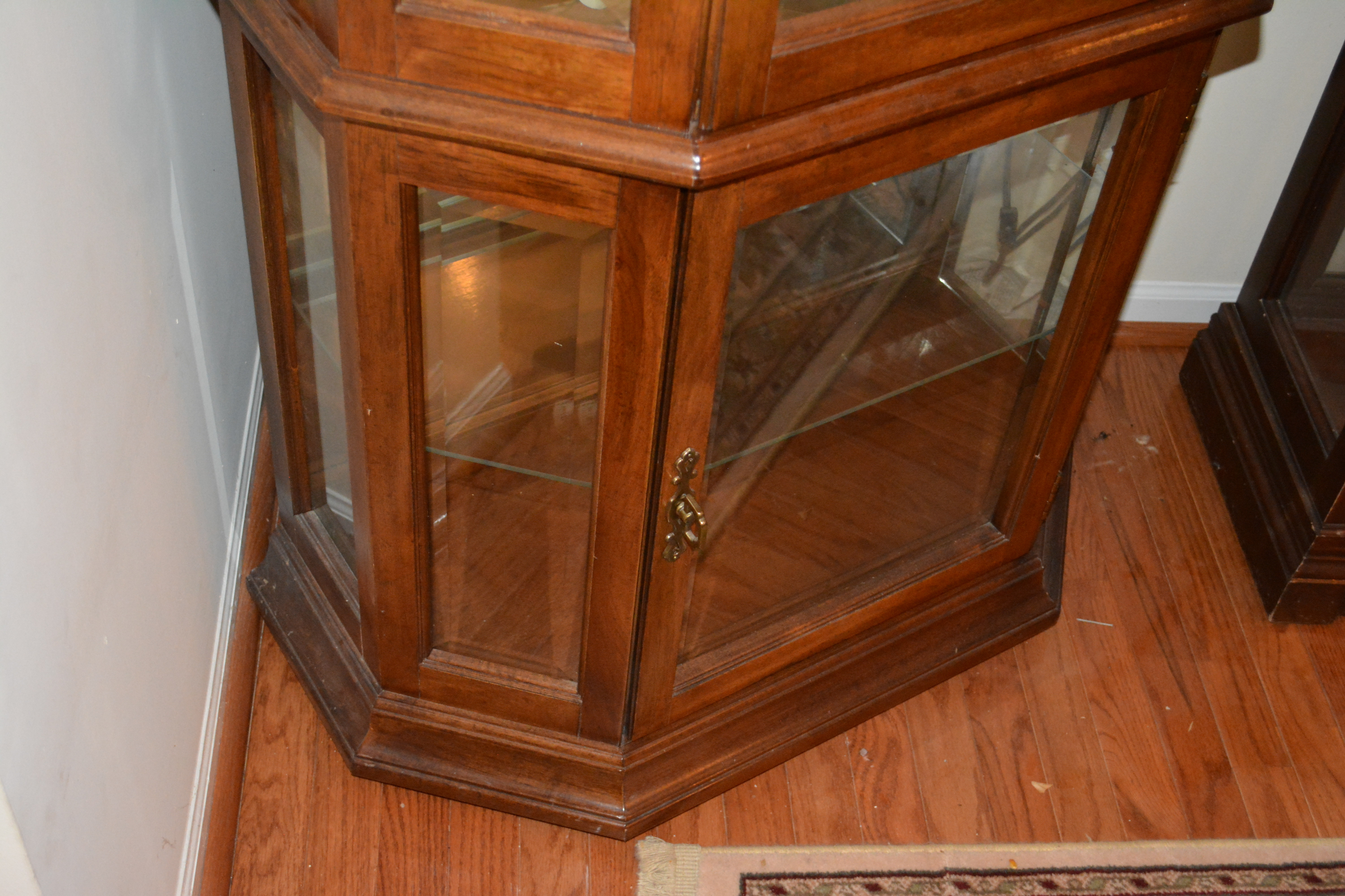 Contemporary Display Cabinet