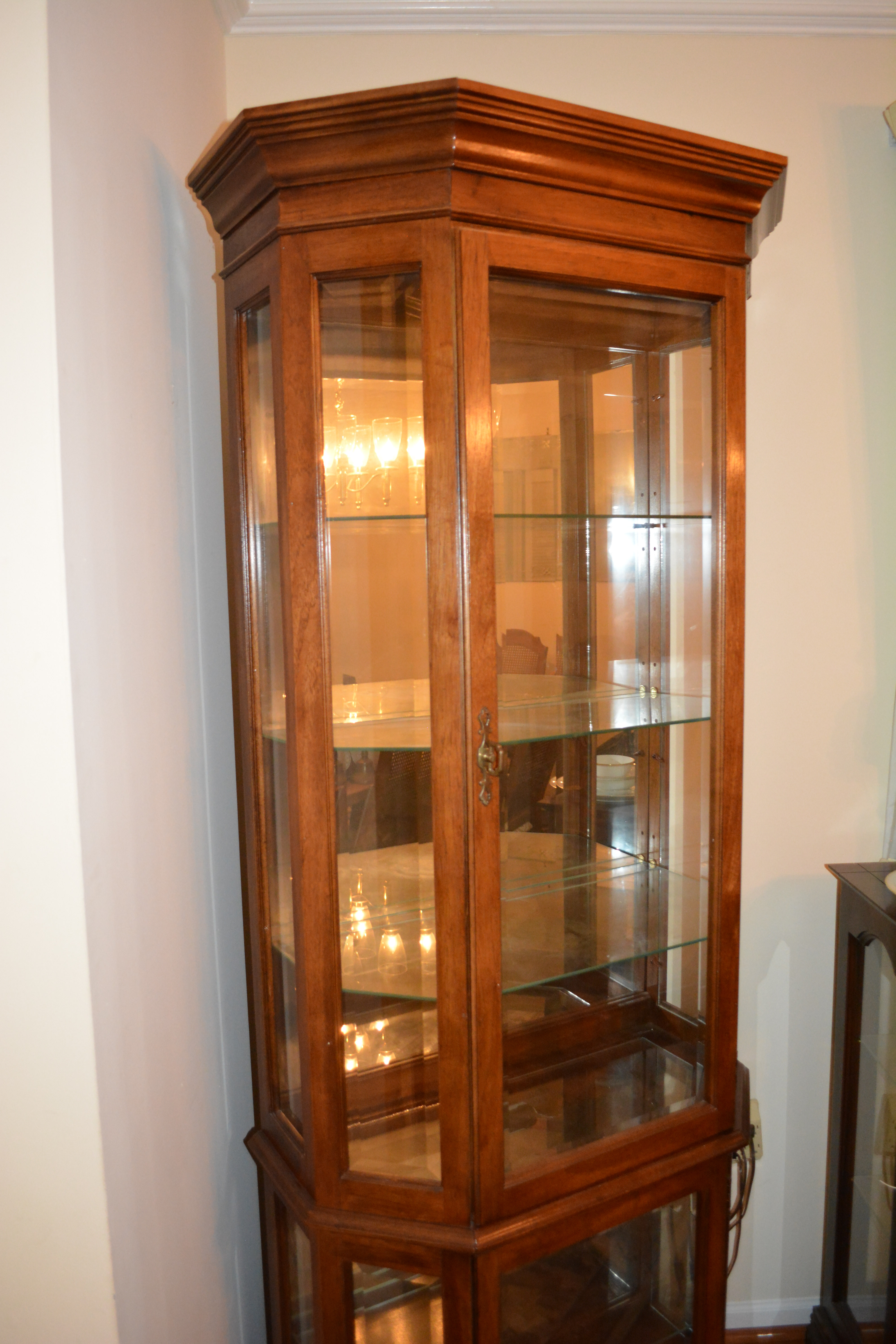 Contemporary Display Cabinet