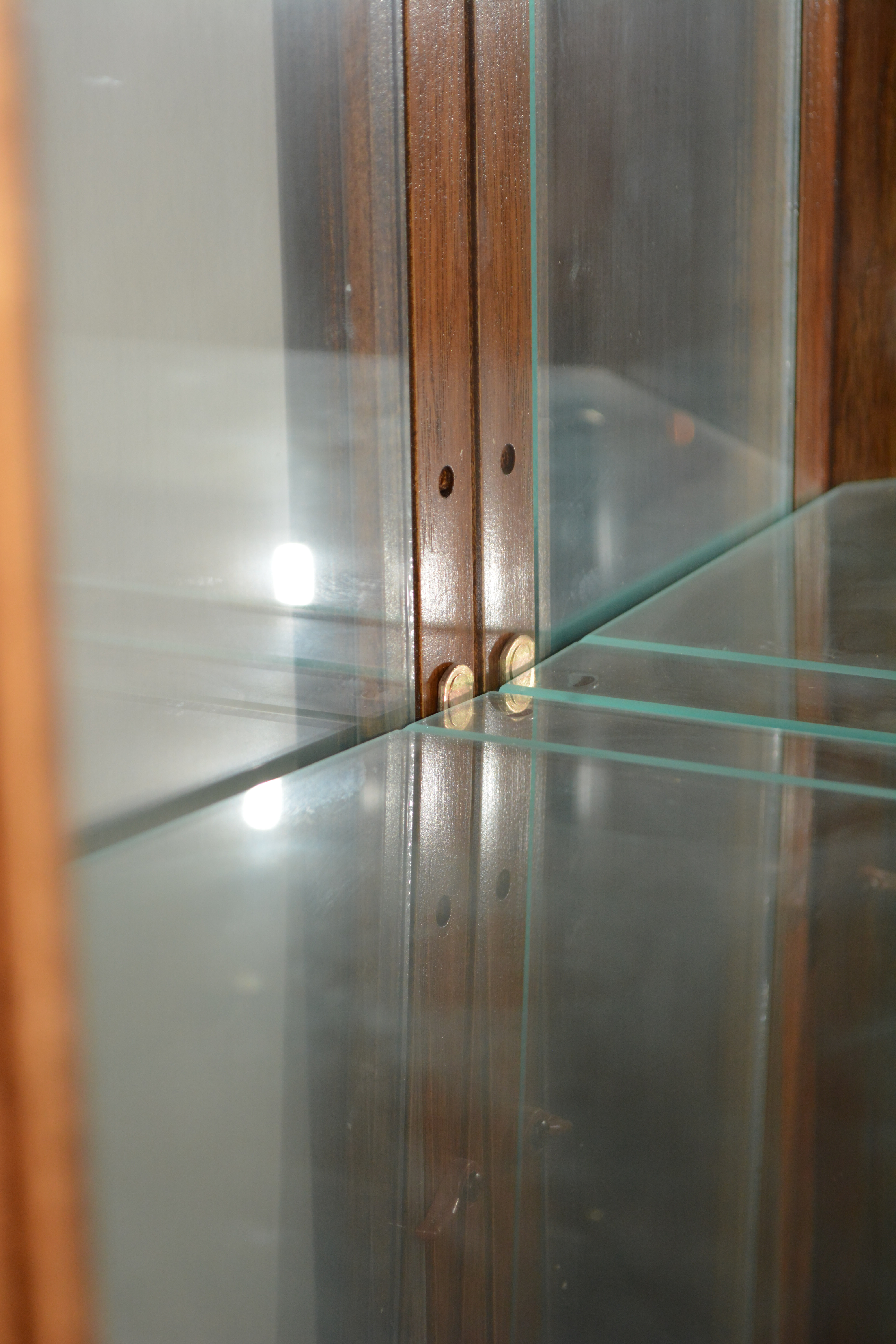 Contemporary Display Cabinet