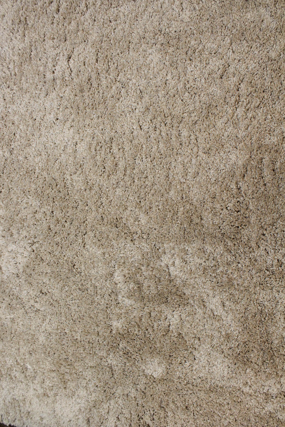 Neutral Shag Area Rug