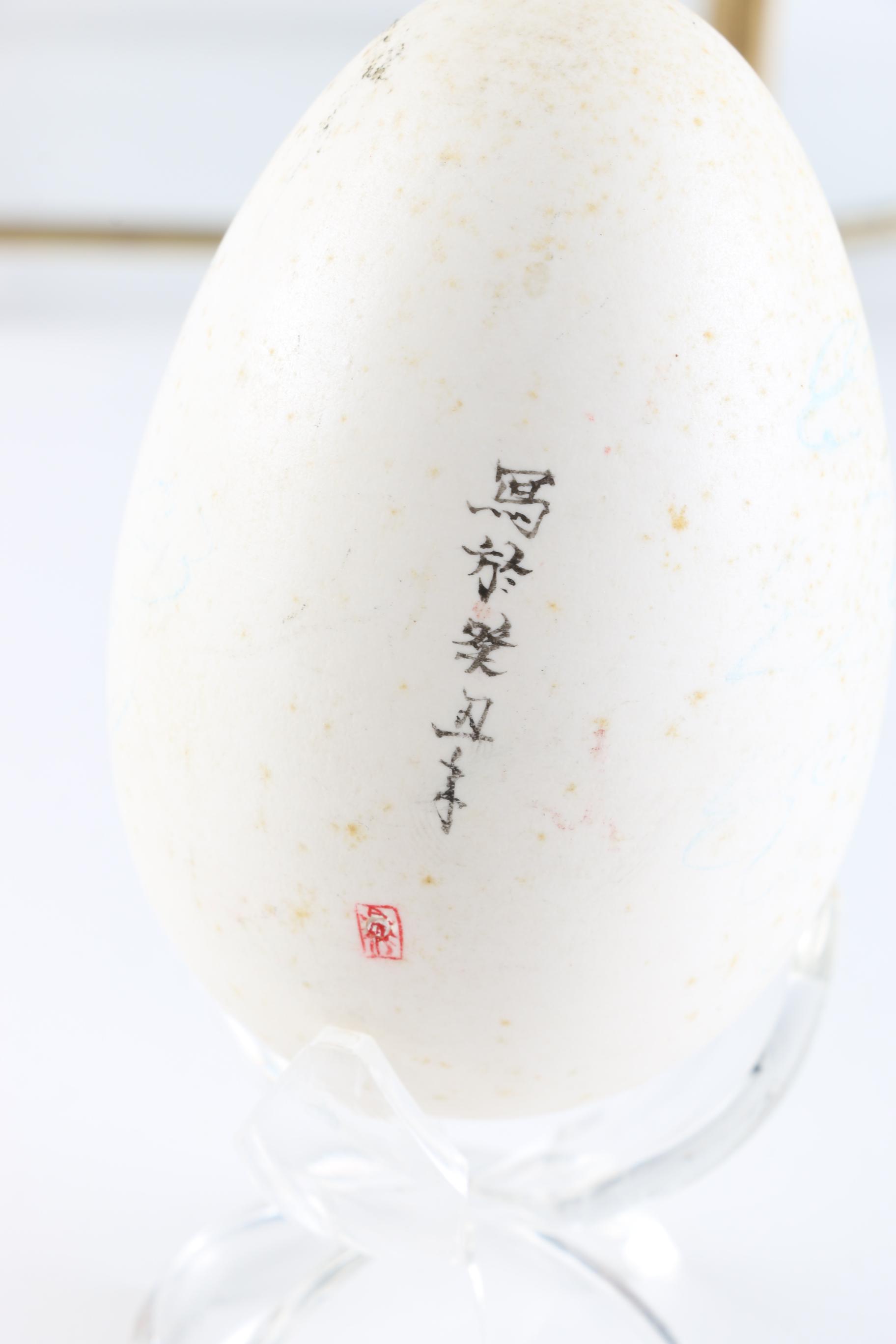 Painted and Sculptural Decorative Eggs