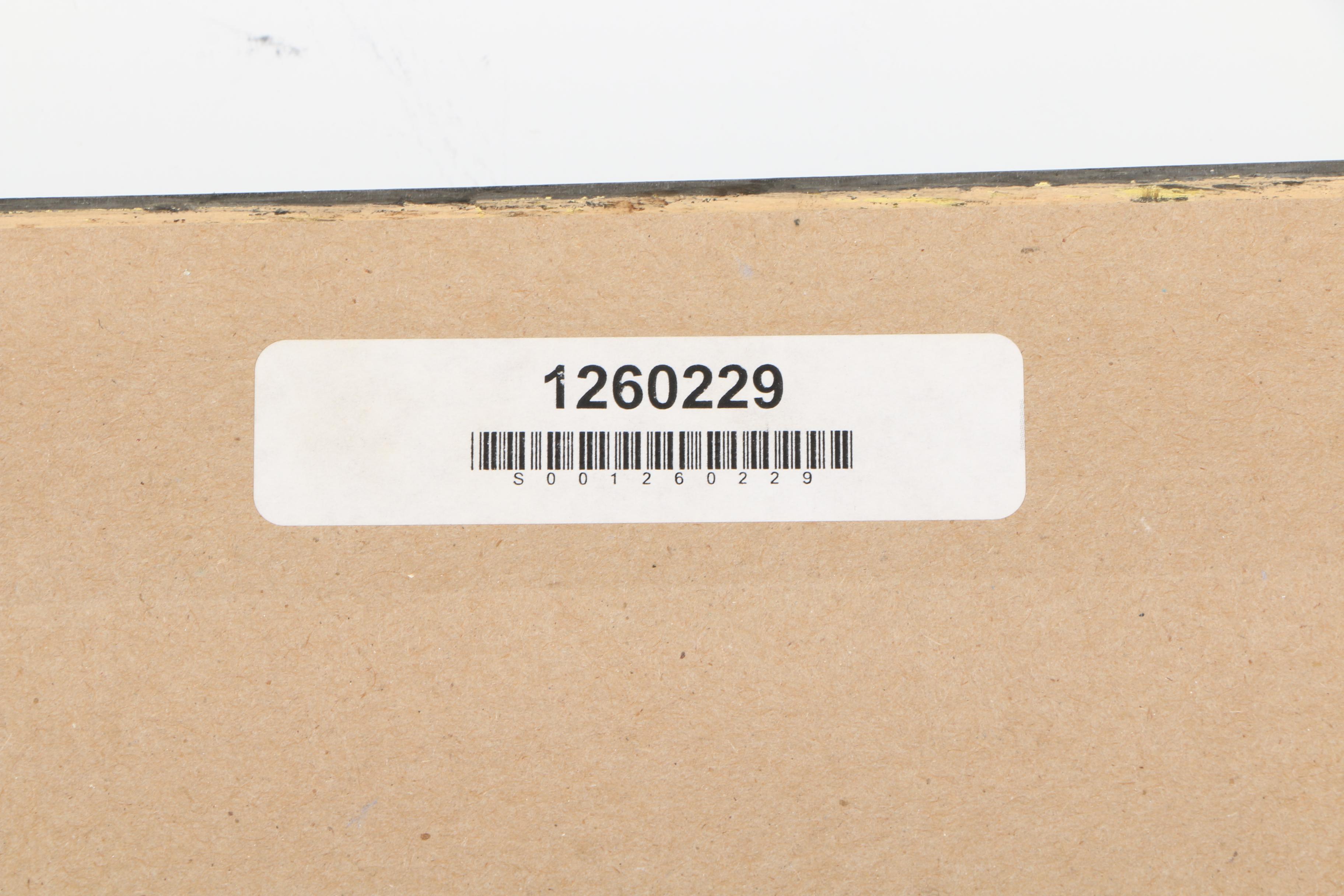 Roland Roy Limited Edition Lithograph "Sea Cliff"