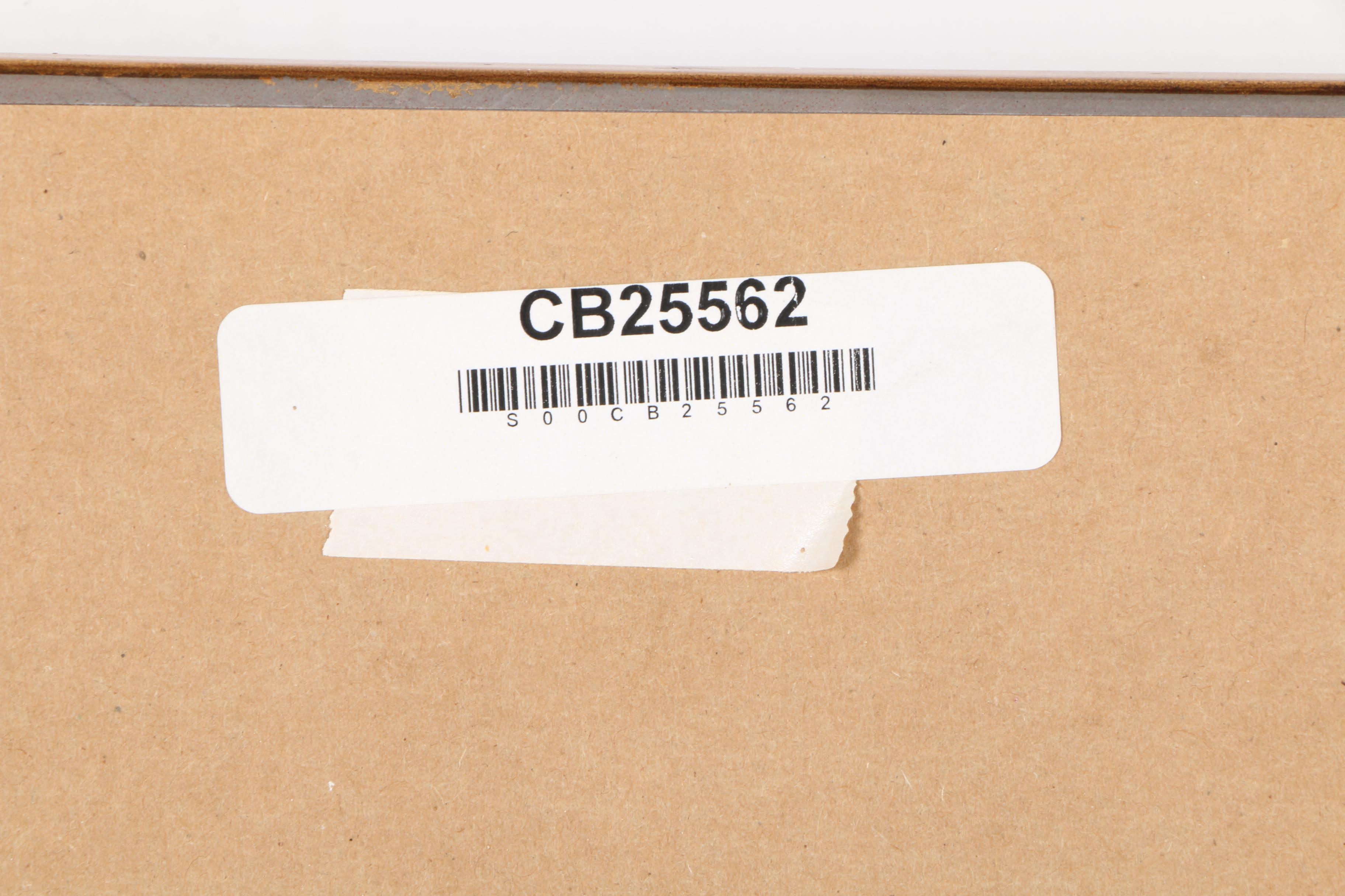 Alexandra Nechita Limited Edition Lithograph "Winning Together"