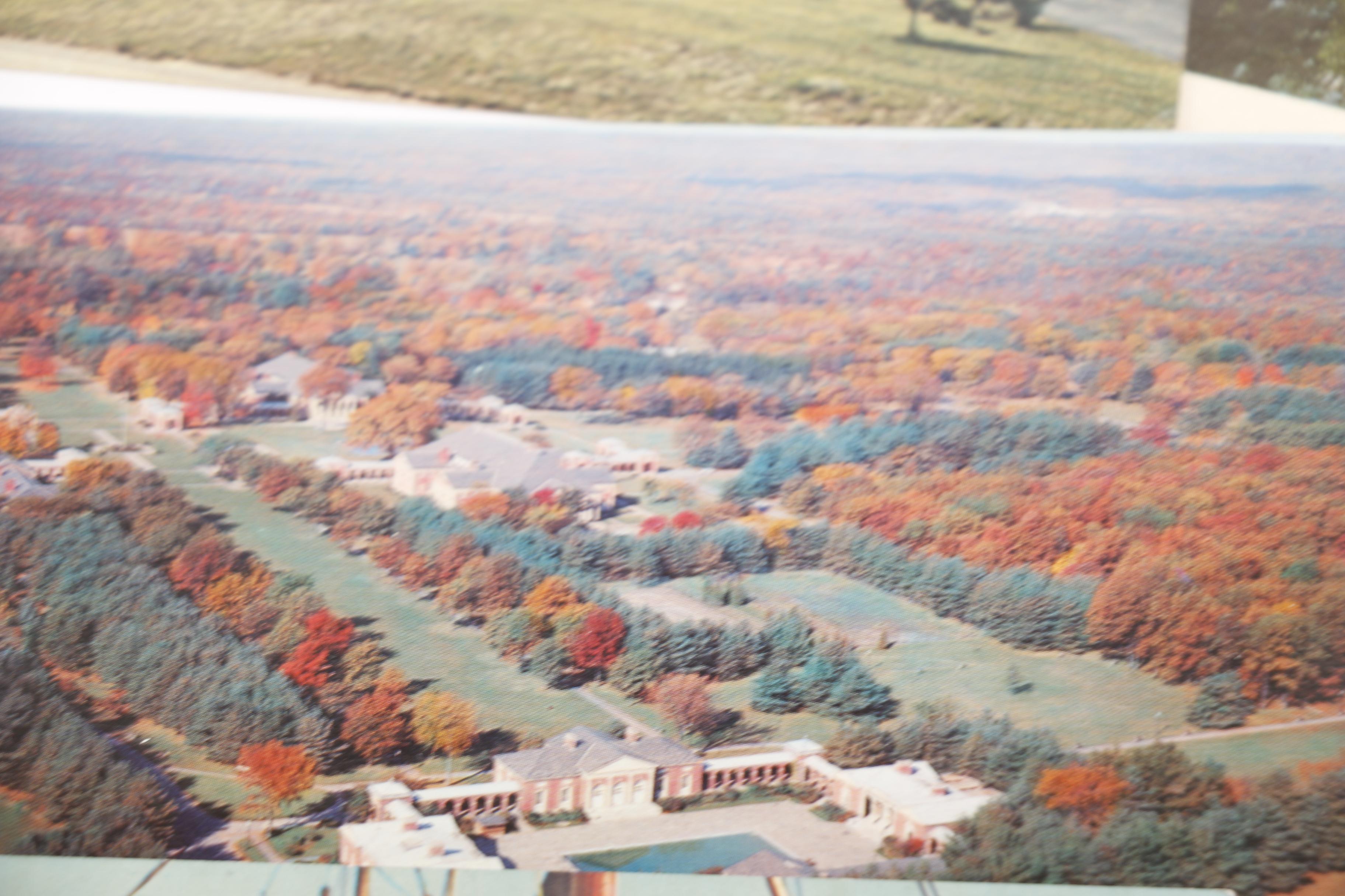 "House of Windsor" Cigar Box and Postcard Collection