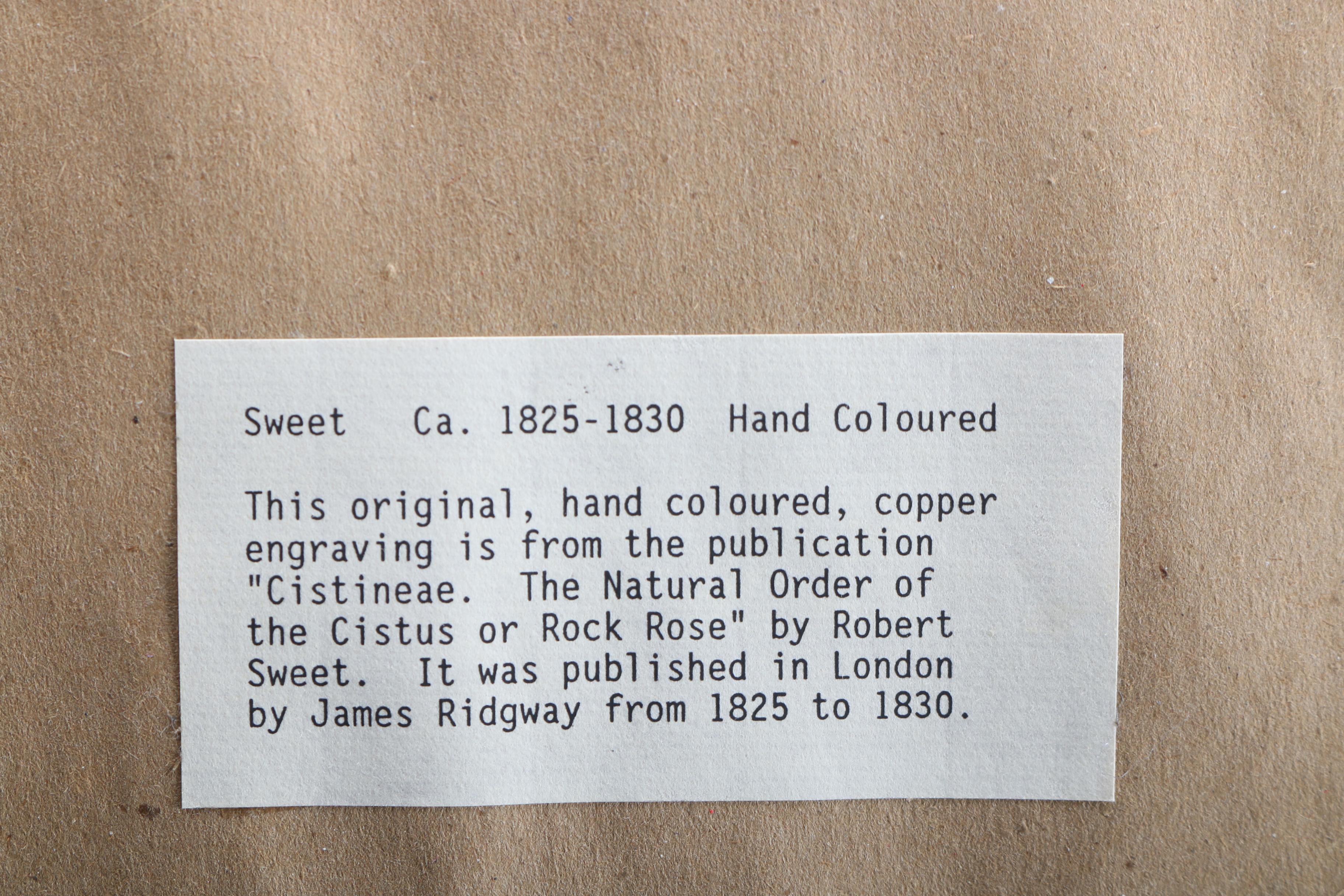 Hand Colored Botanical Engravings from British Botany Books