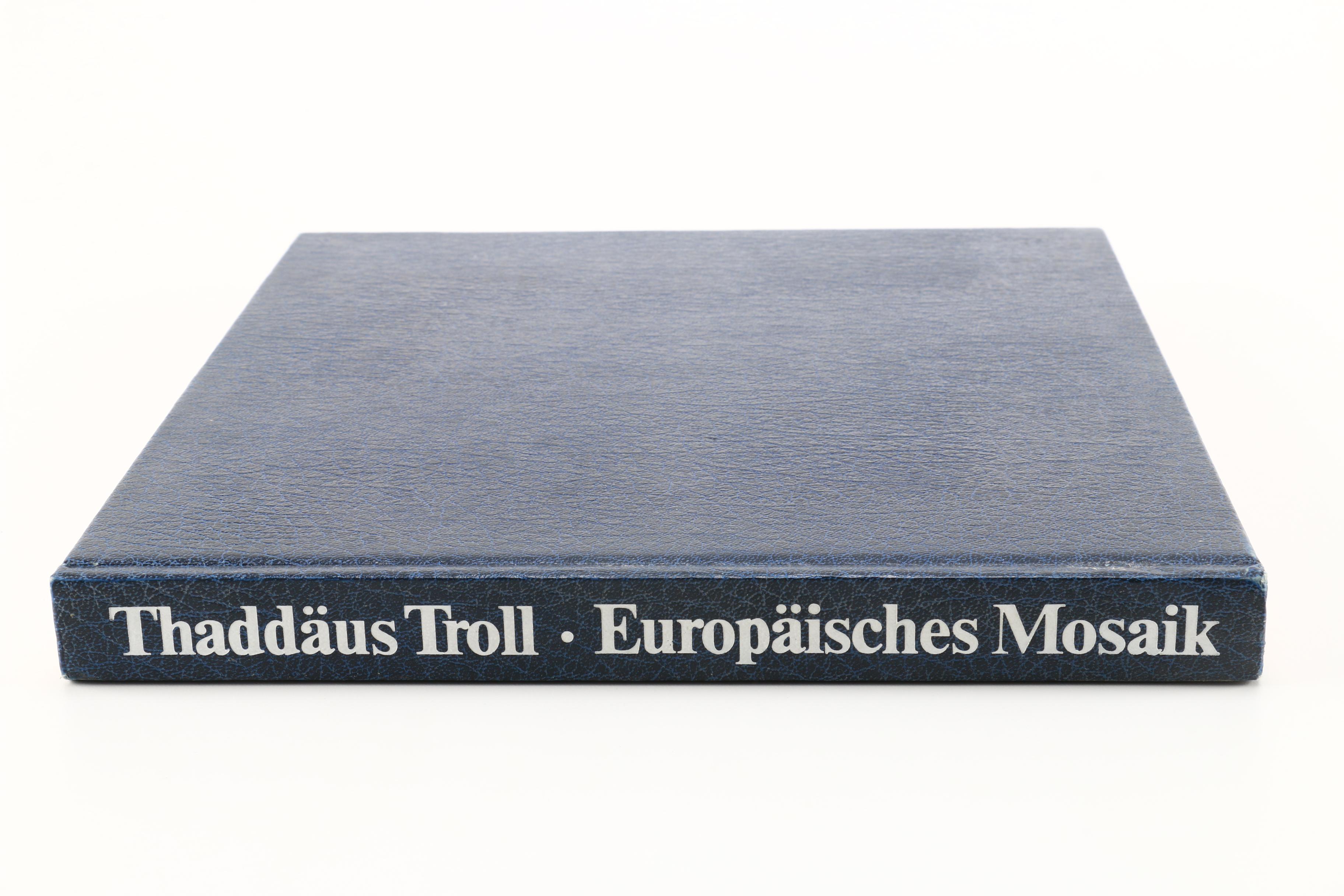 1976 "Europäisches Mosaik" by Thaddäus Troll