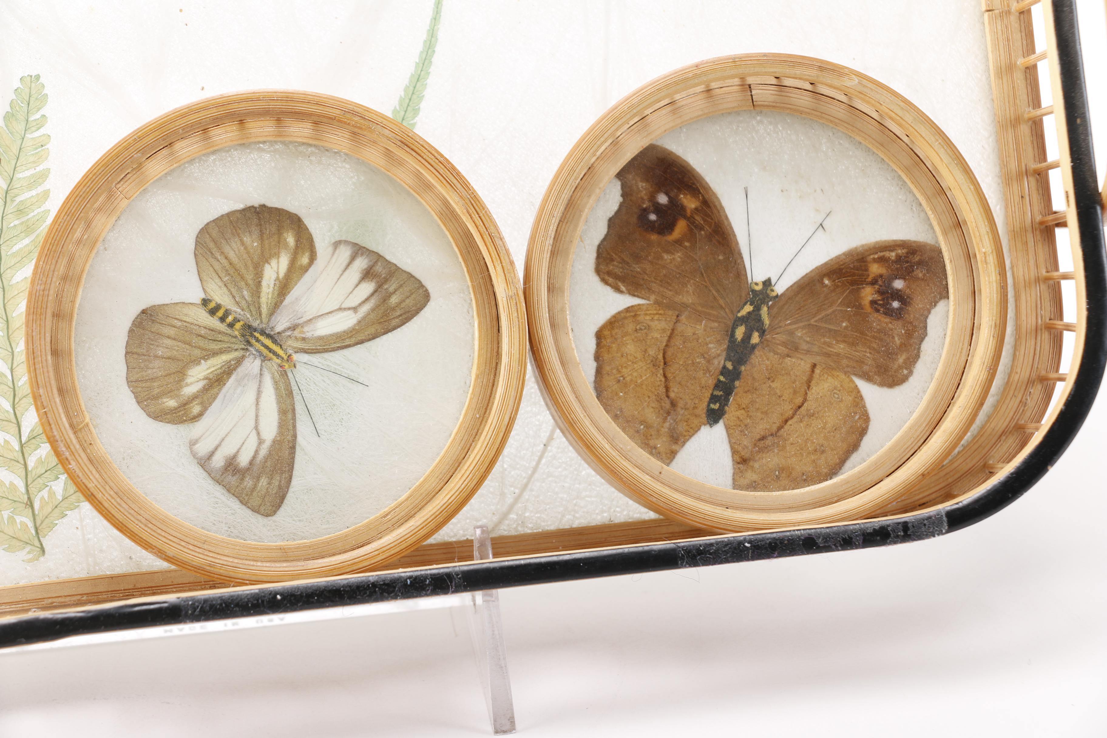 Butterfly Tray and Coaster Set