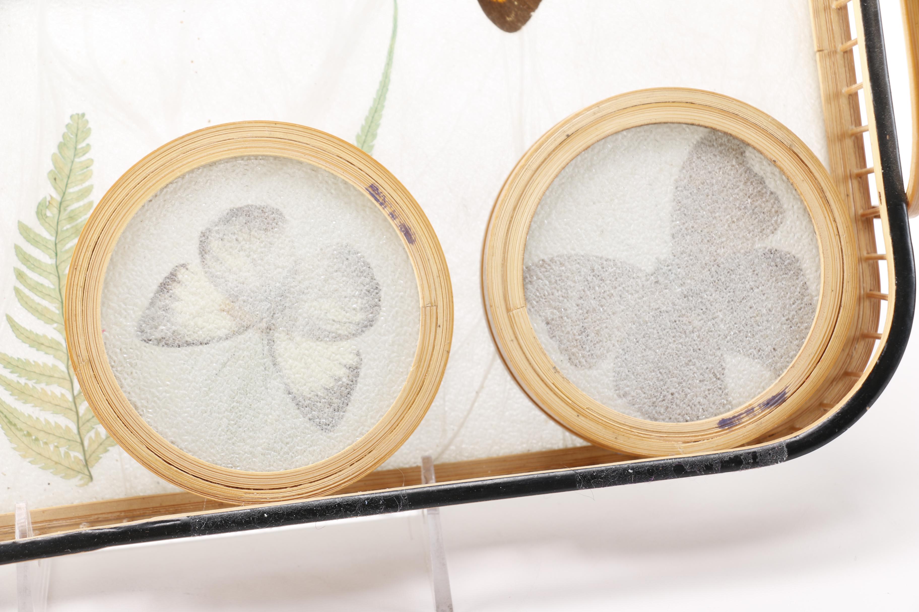 Butterfly Tray and Coaster Set