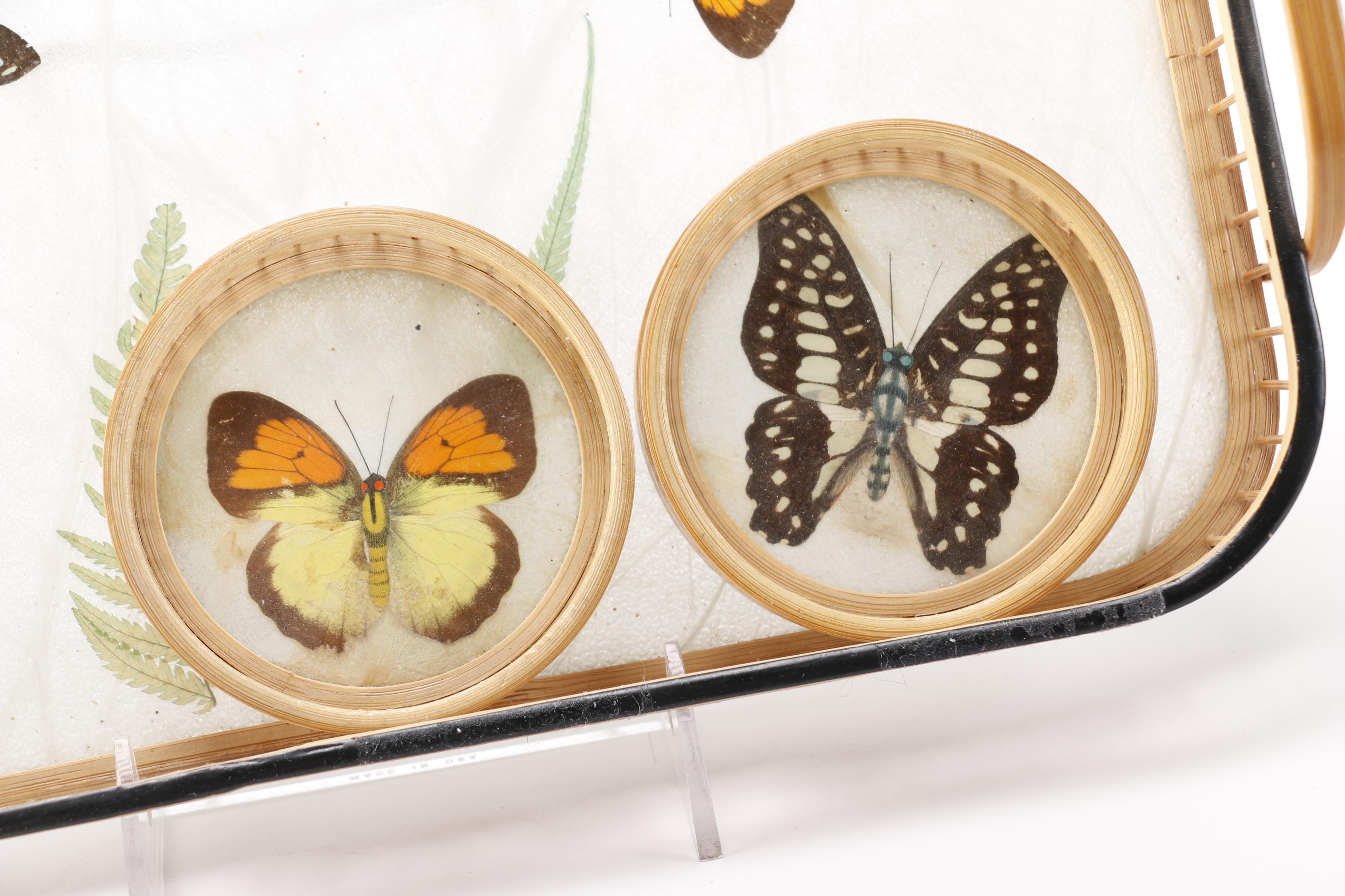 Butterfly Tray and Coaster Set