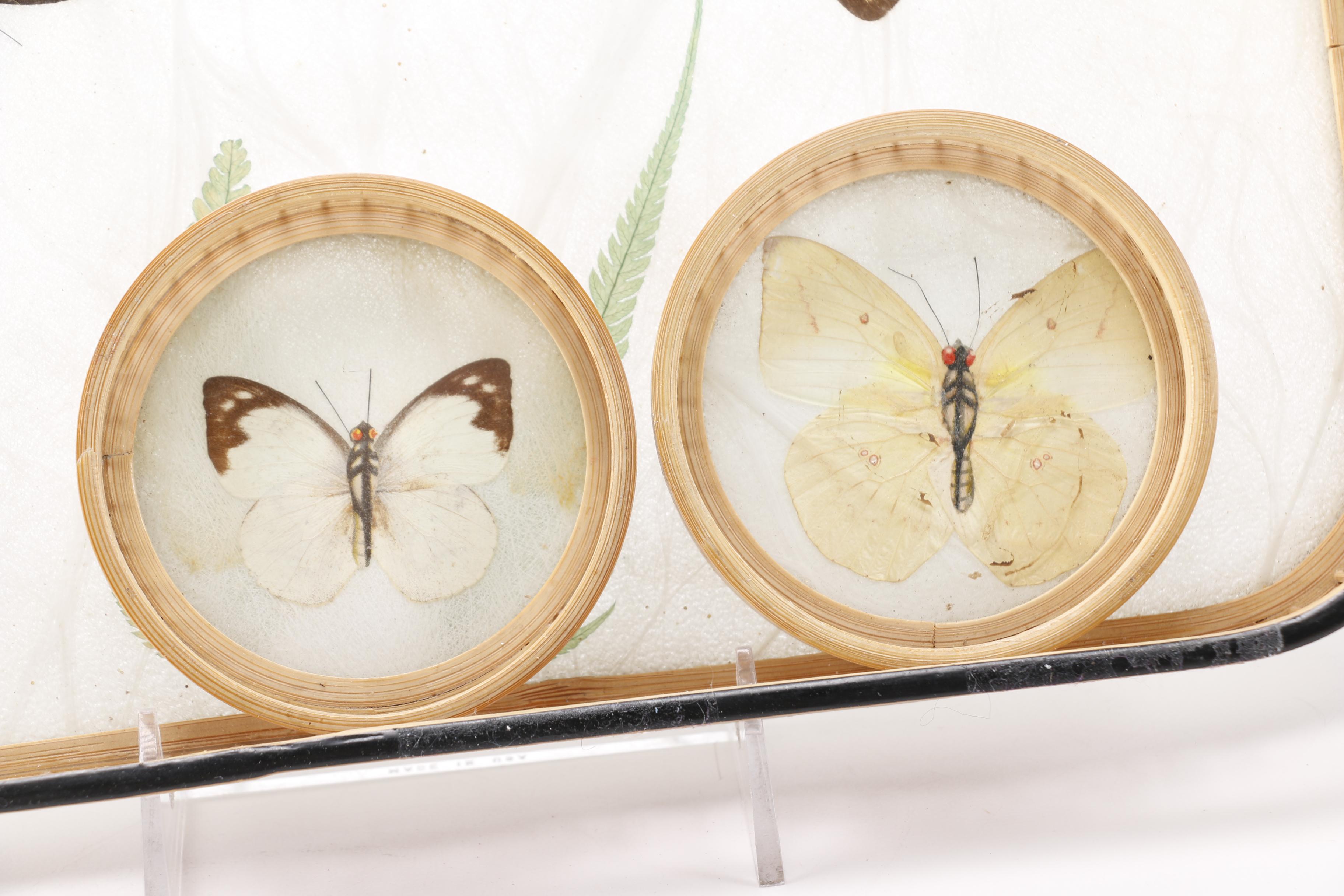 Butterfly Tray and Coaster Set