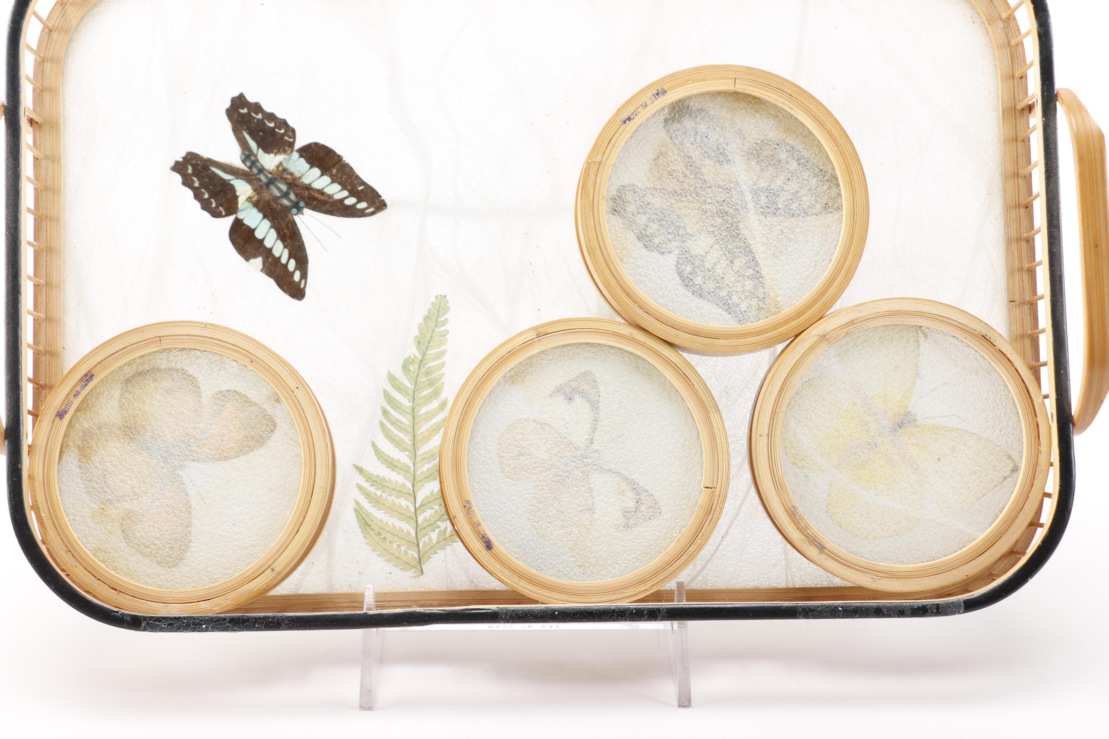 Butterfly Tray and Coaster Set