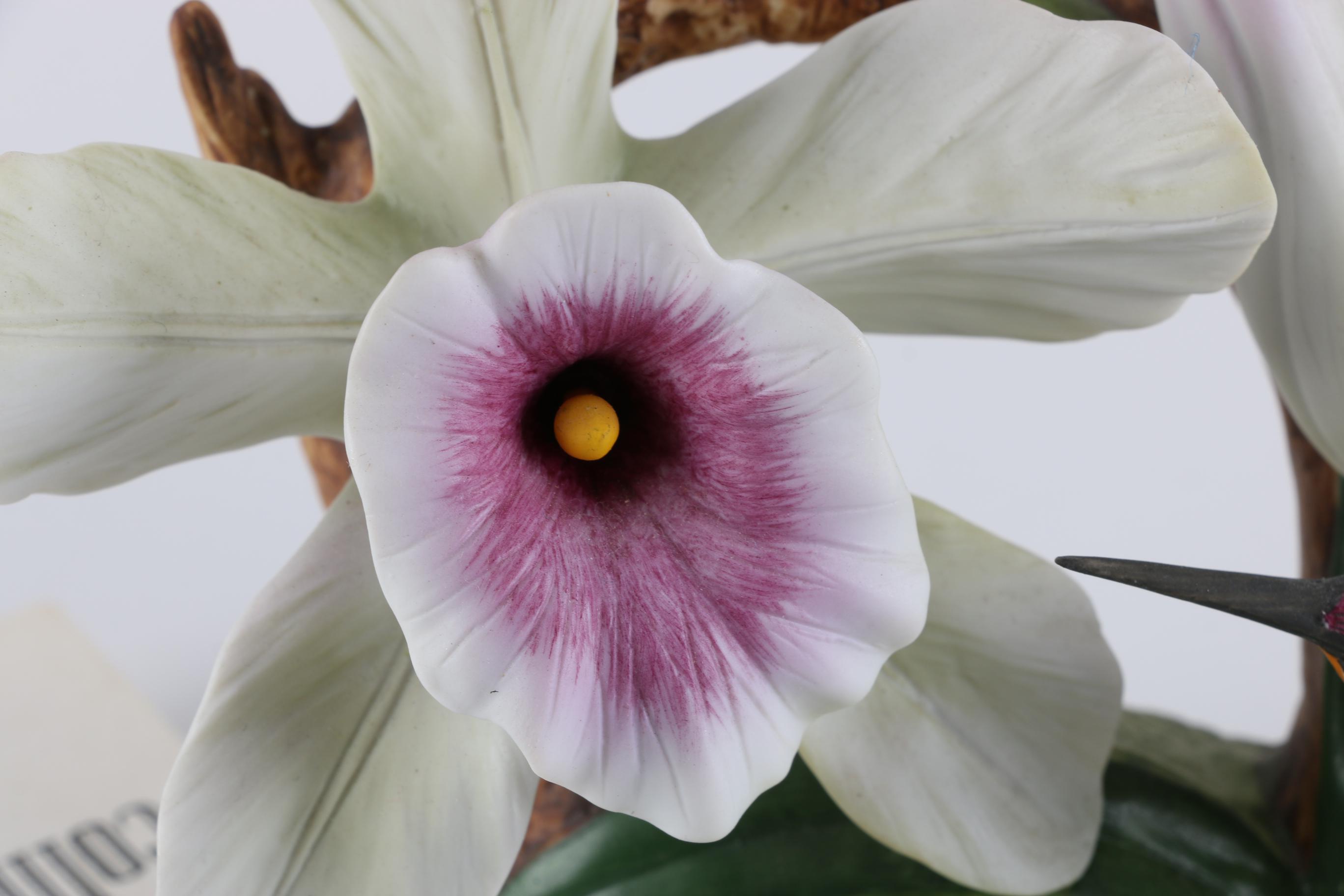 Porcelain Hummingbird and Floral Figures