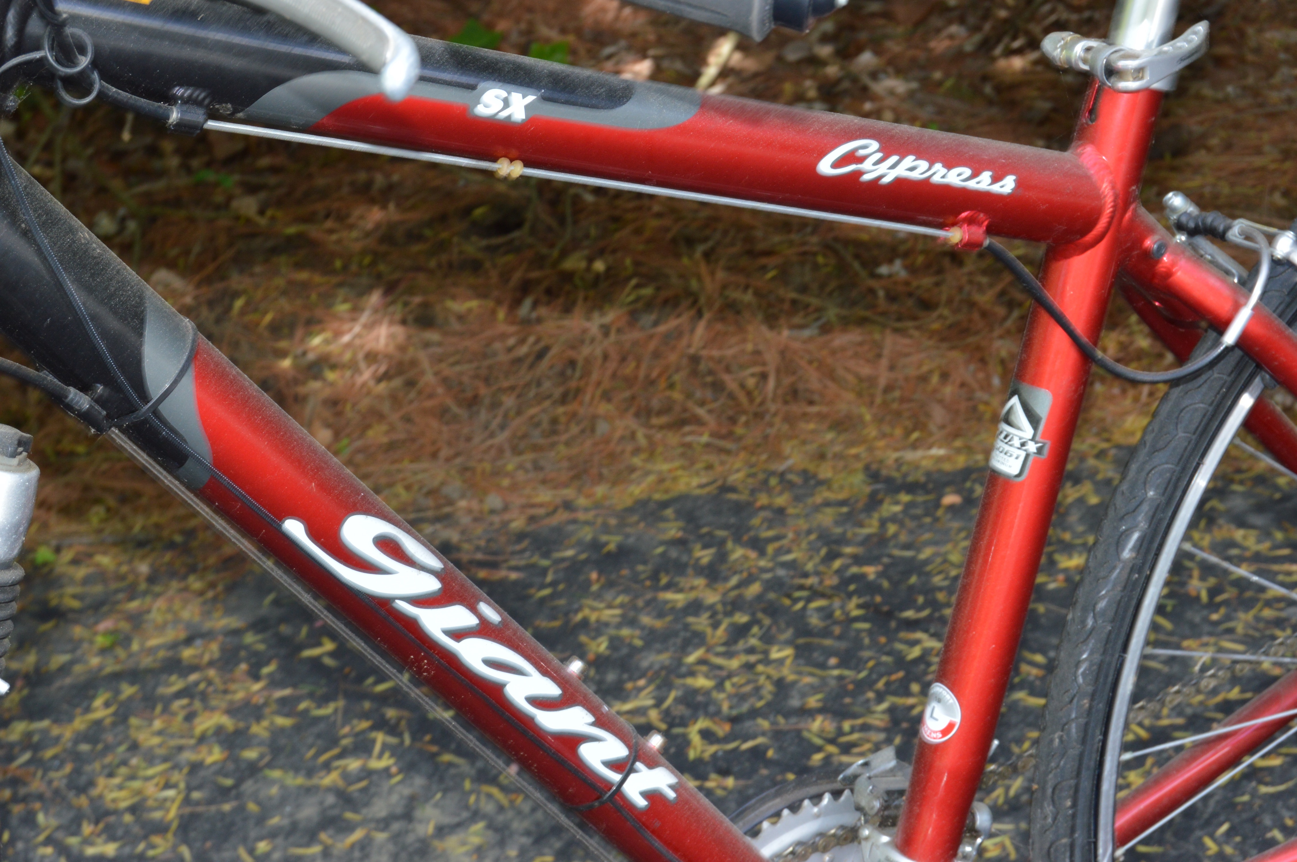 Giant "Cypress" Men's Hybrid Bike