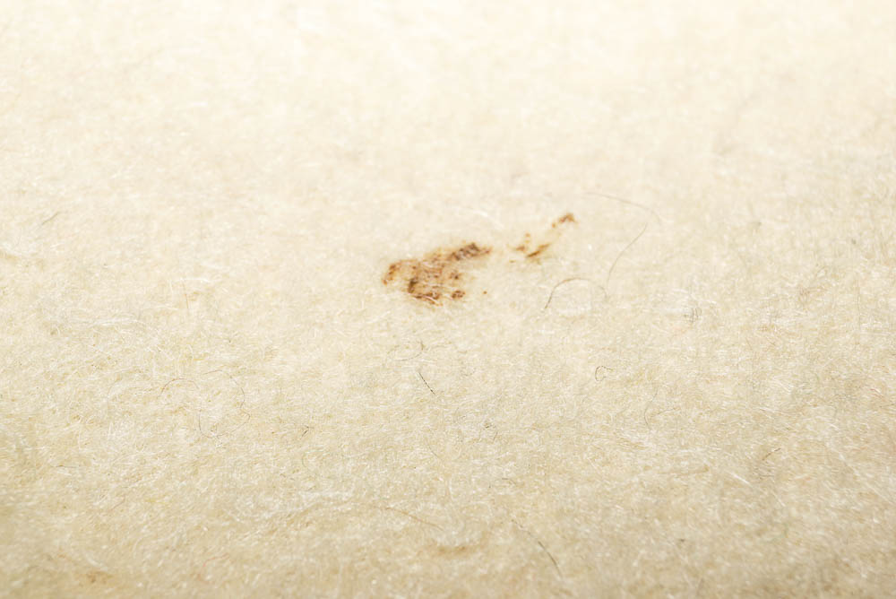 Vintage Hudson's Bay Point Blanket