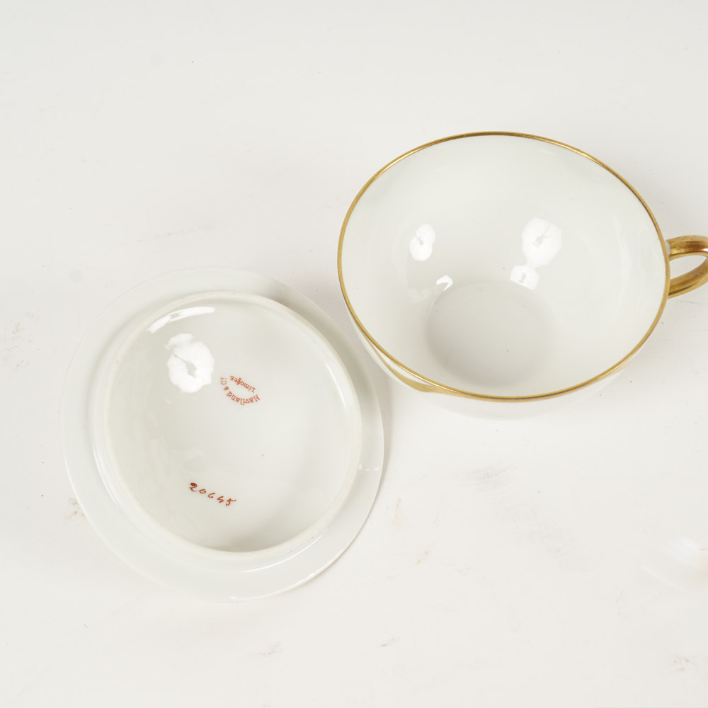 Gilded Haviland & Co. Limoges Porcelain China