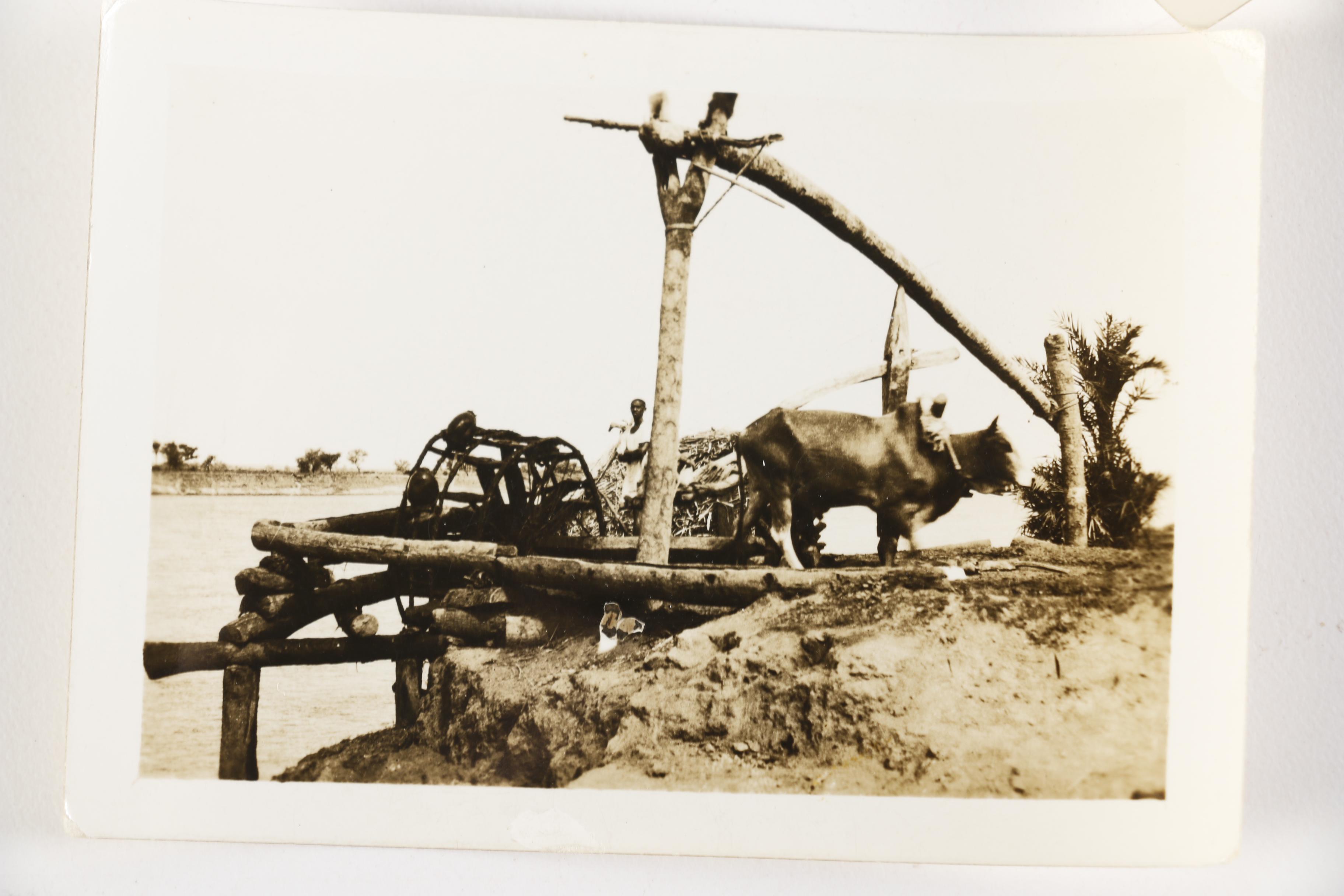 Photos Taken in Egypt and the Middle East