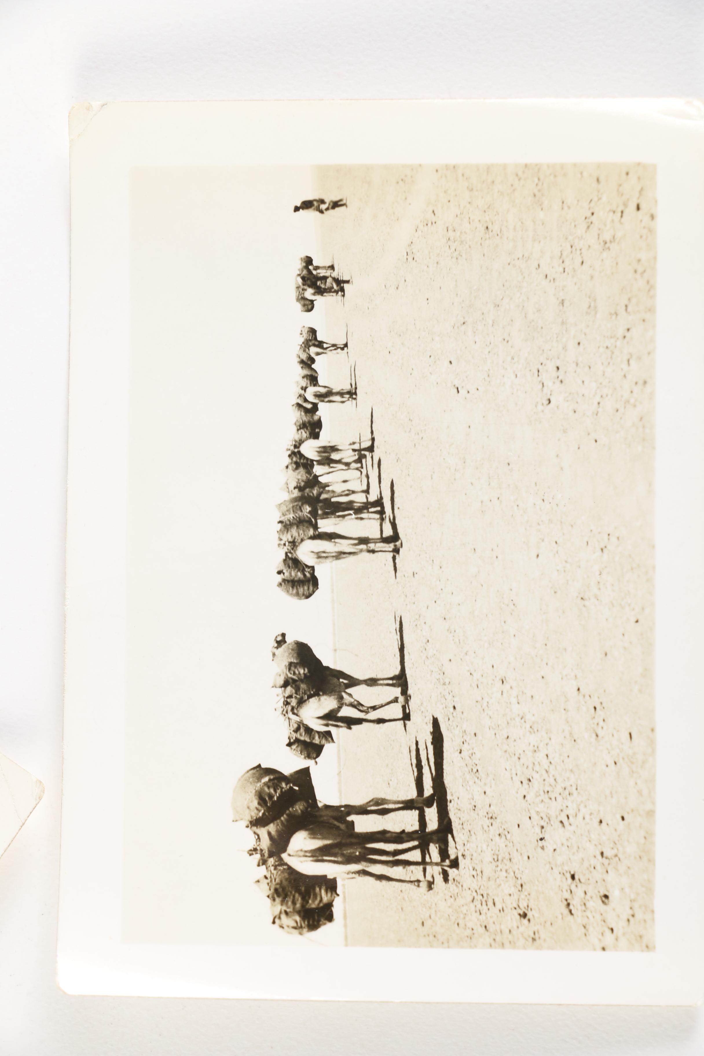 Photos Taken in Egypt and the Middle East