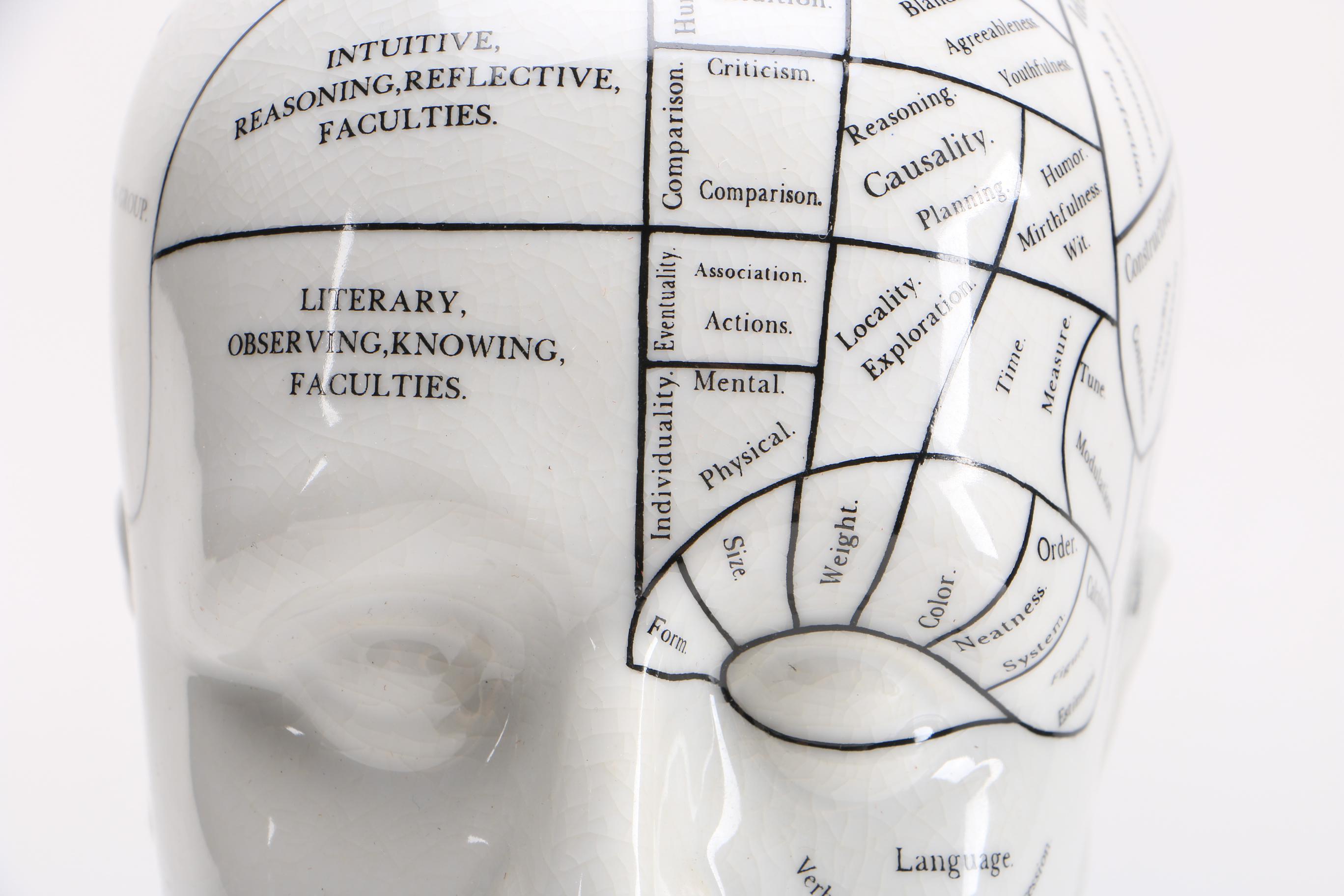 Phrenology Head After L. N. Fowler