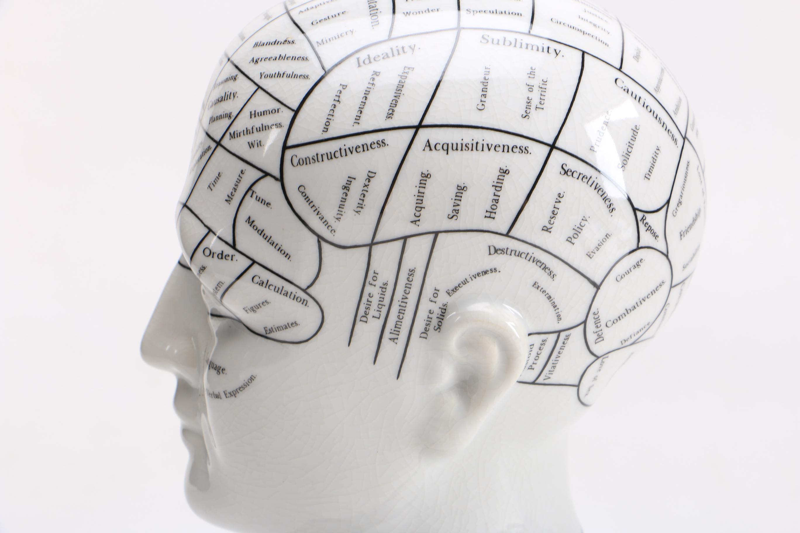 Phrenology Head After L. N. Fowler