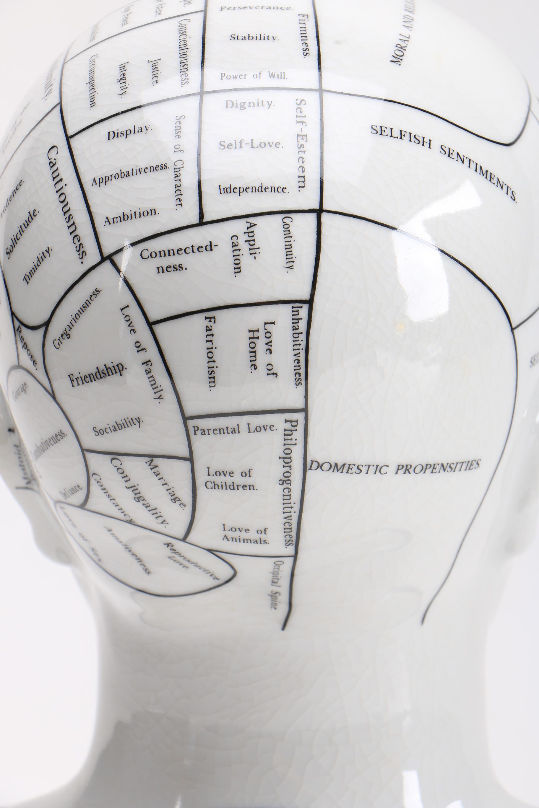 Phrenology Head After L. N. Fowler