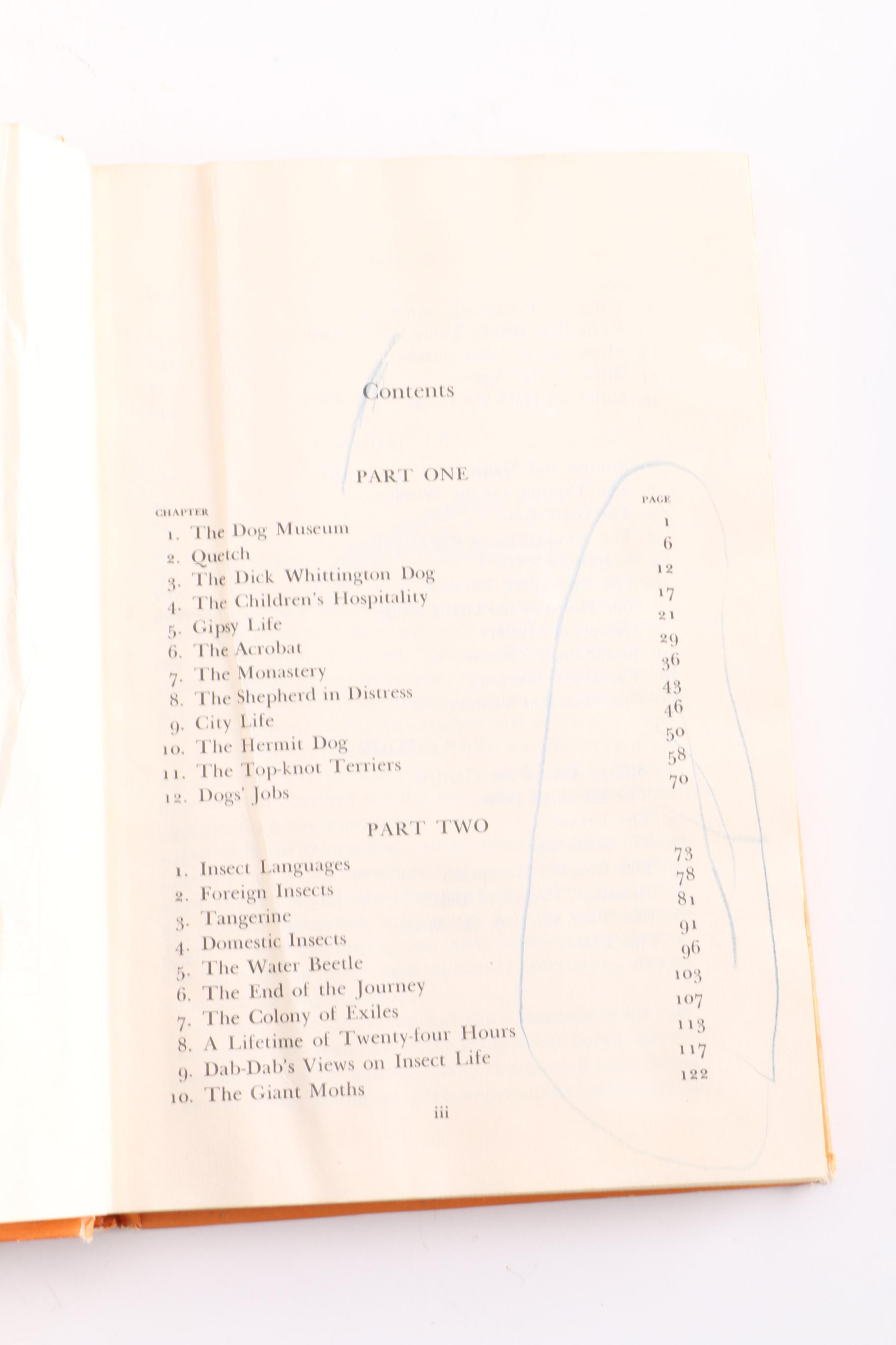 "Rain Doctor" by Peter Wingate and "Doctor Dolittle's Garden" by Hugh Lofting