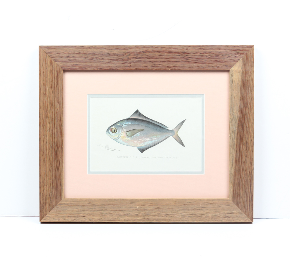 Aquatic Inspired Art and Decor