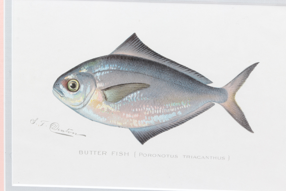 Aquatic Inspired Art and Decor