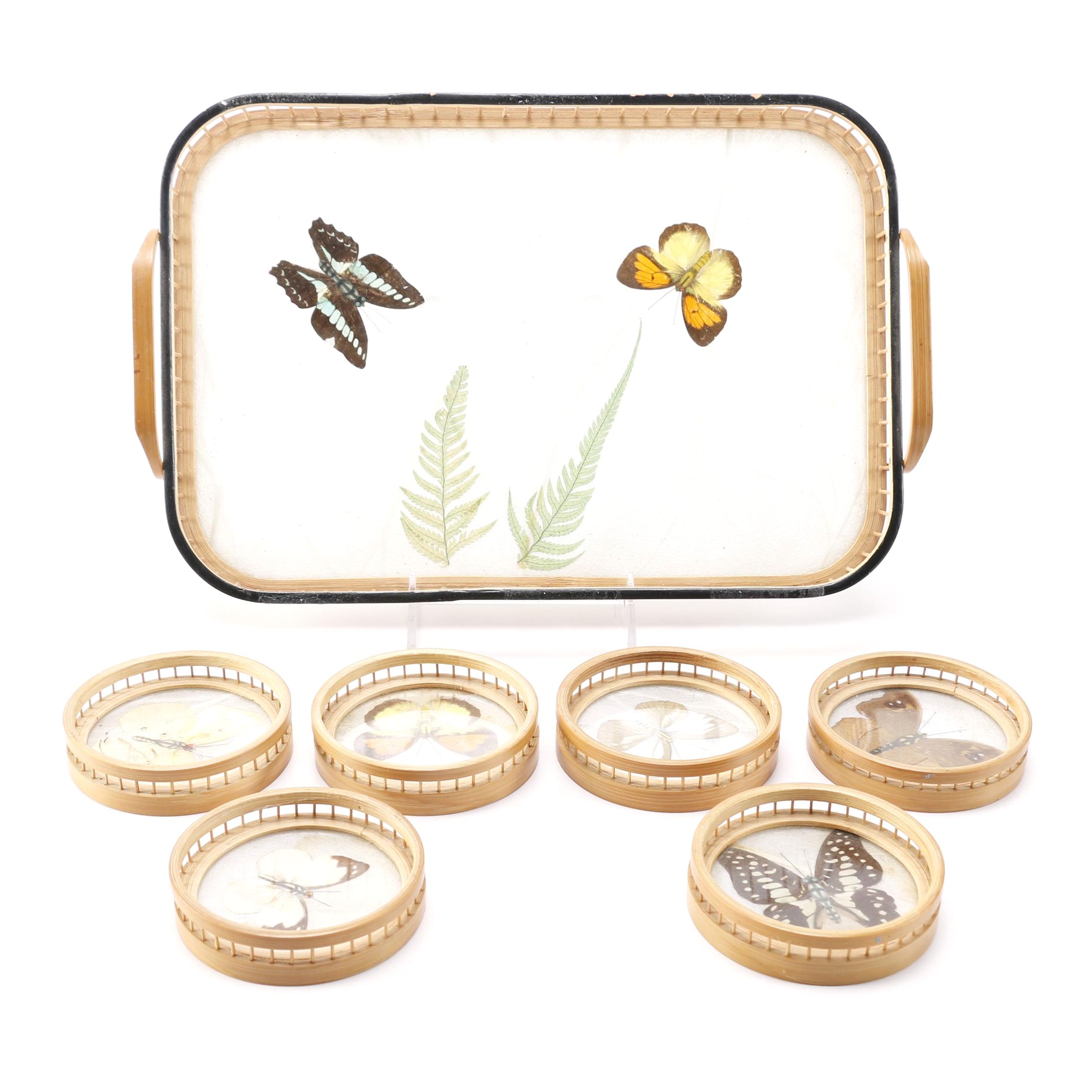 Butterfly Tray and Coaster Set