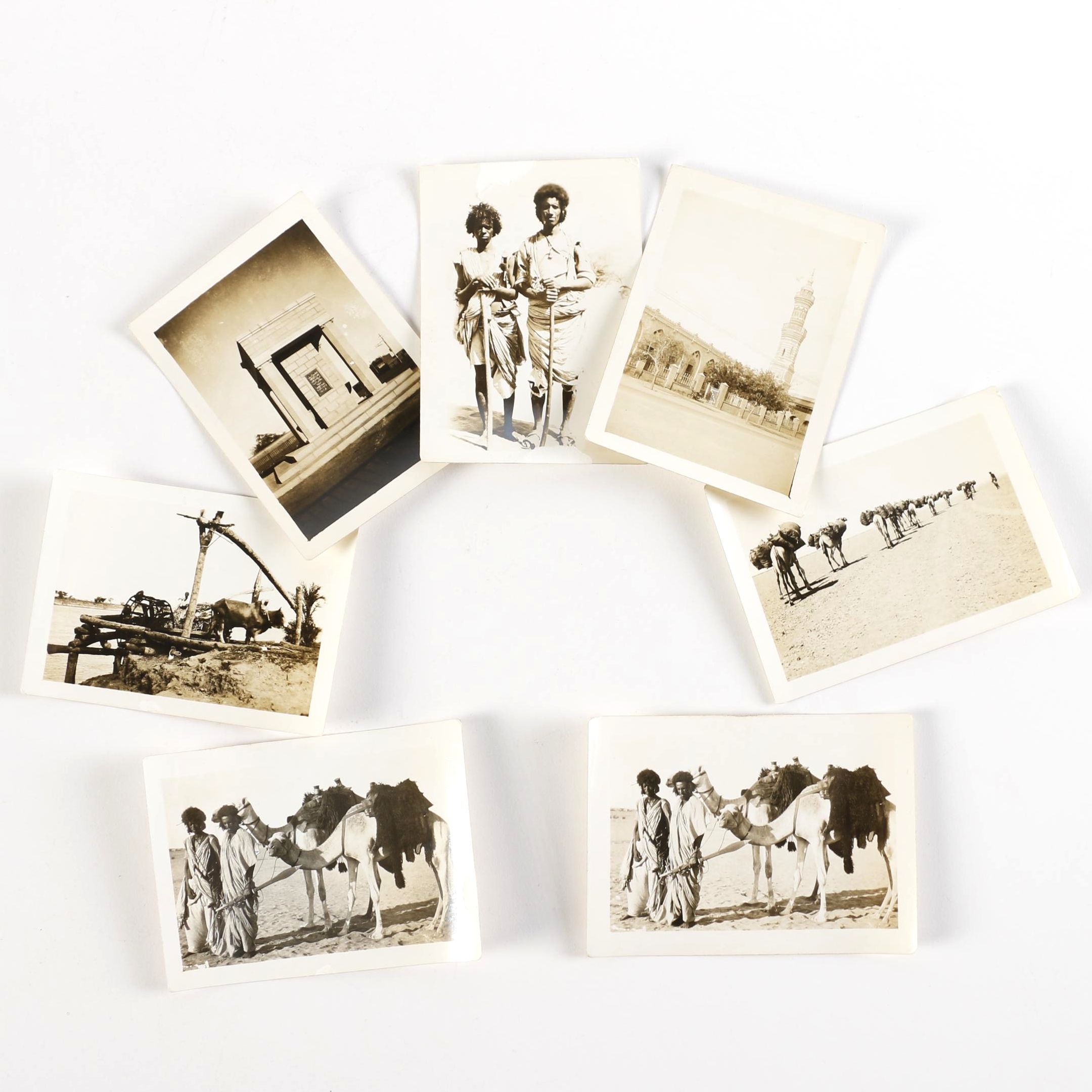 Photos Taken in Egypt and the Middle East